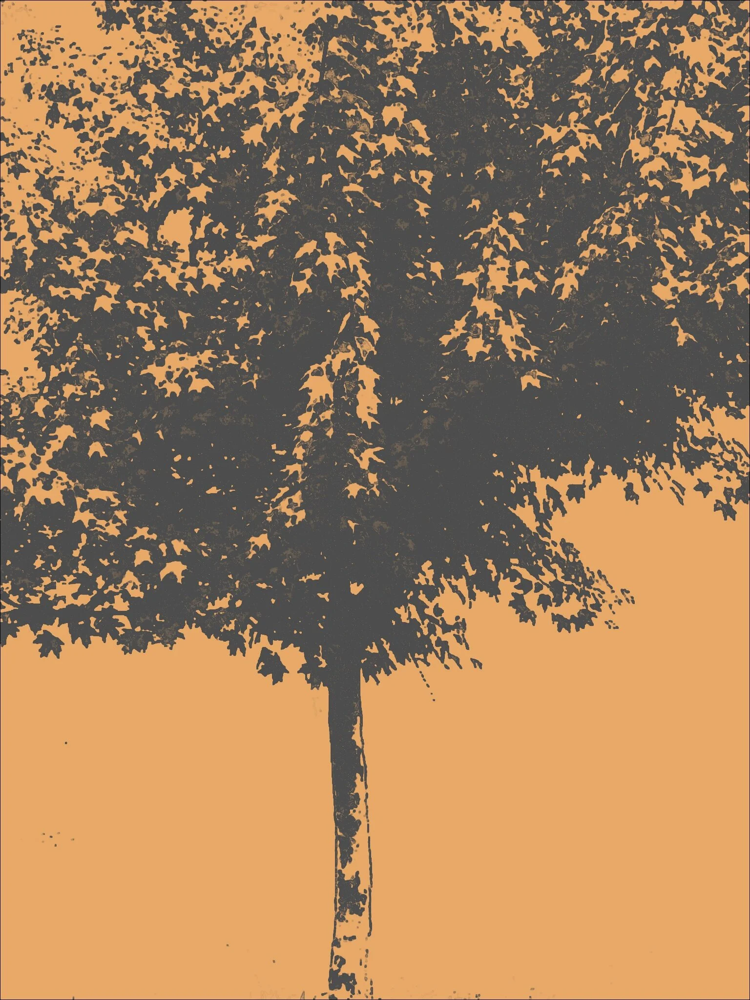 Tree [r] (40).jpg