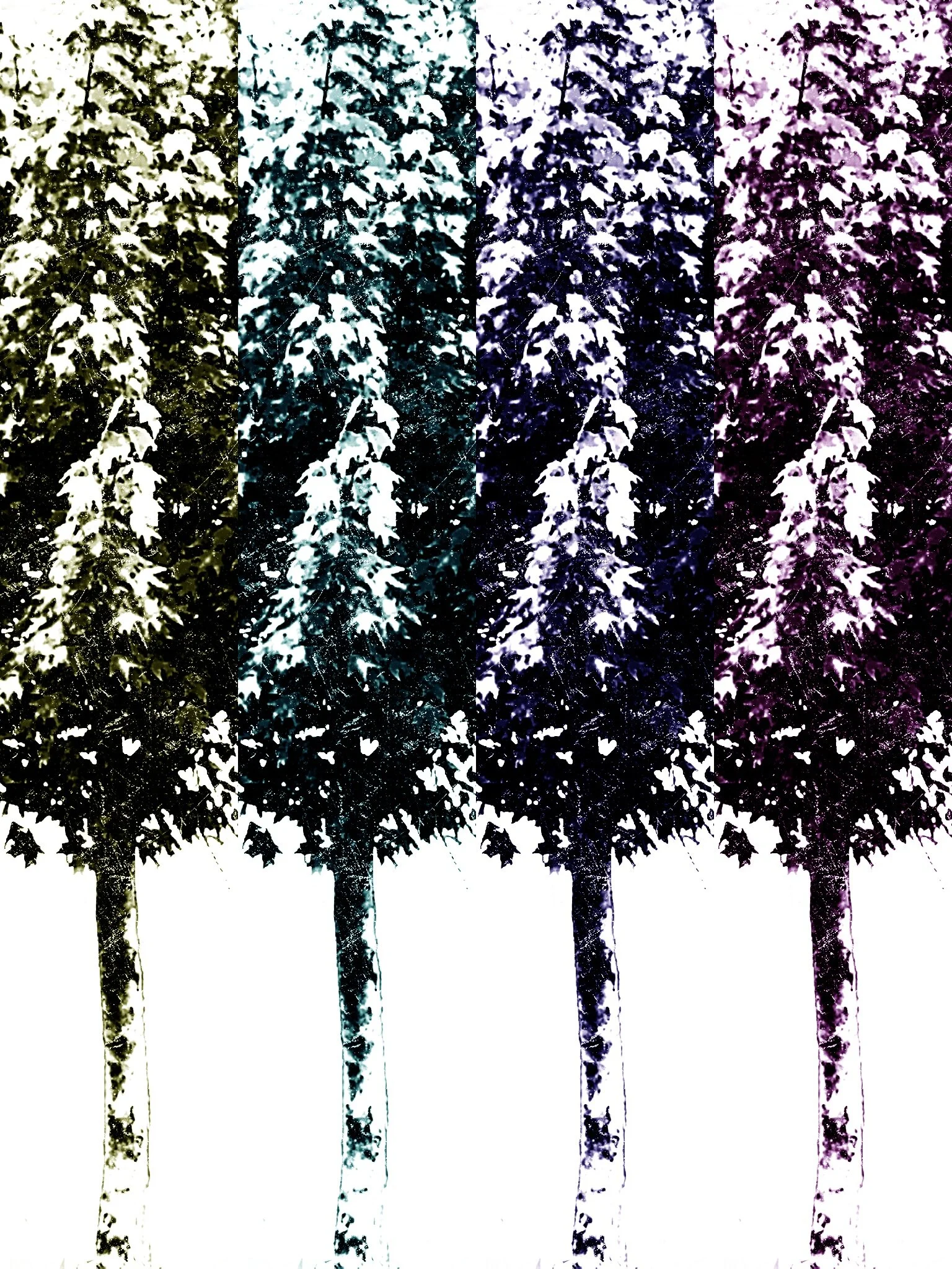 Tree [r] (48).jpg