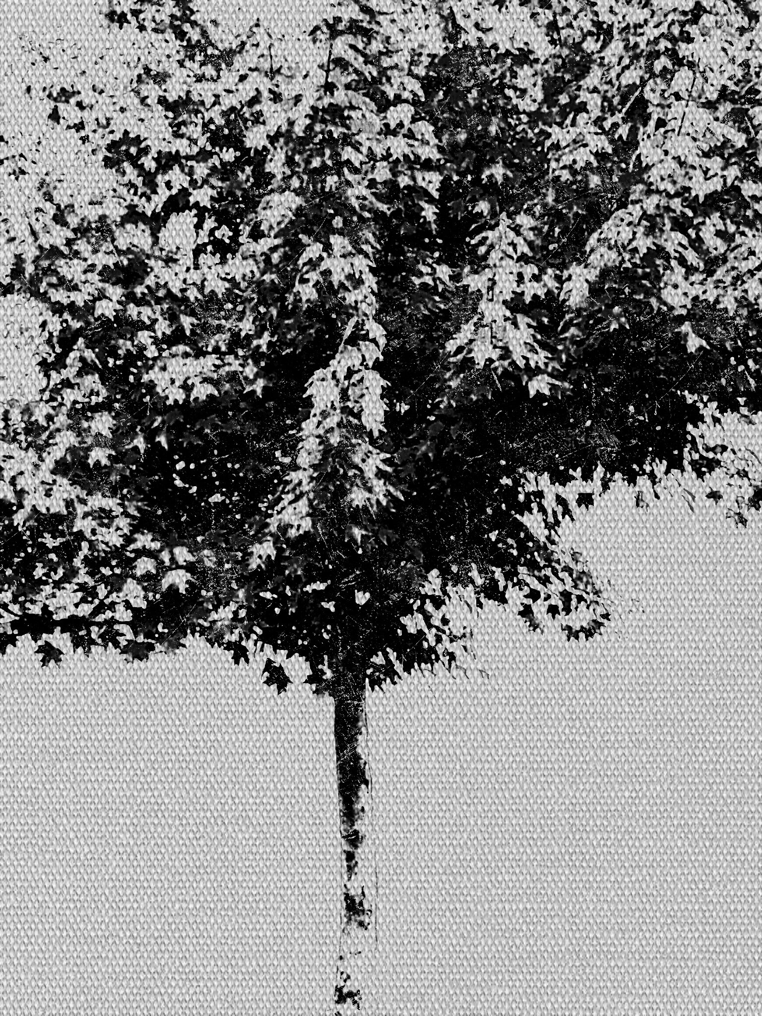 Tree [r] (2).jpg