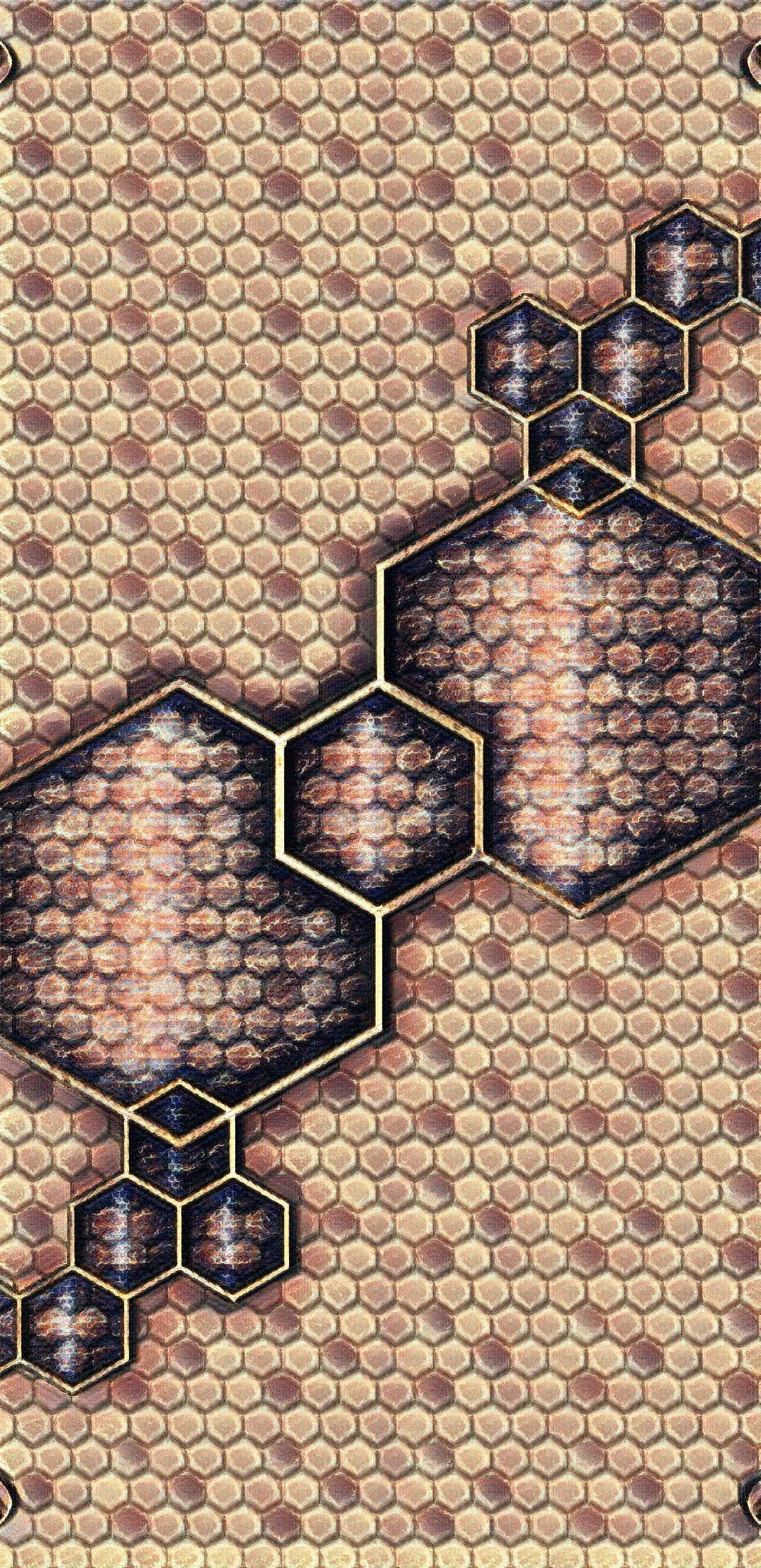 Hex Scale (21).jpg