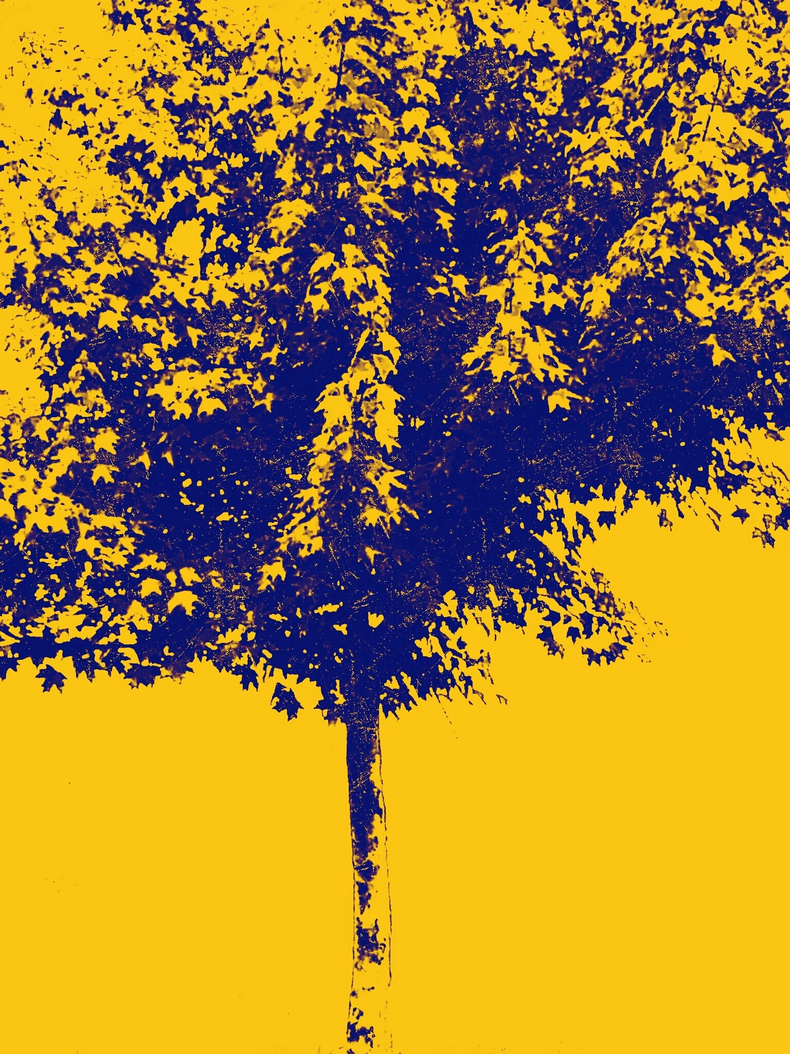 Tree [r] (16).jpg