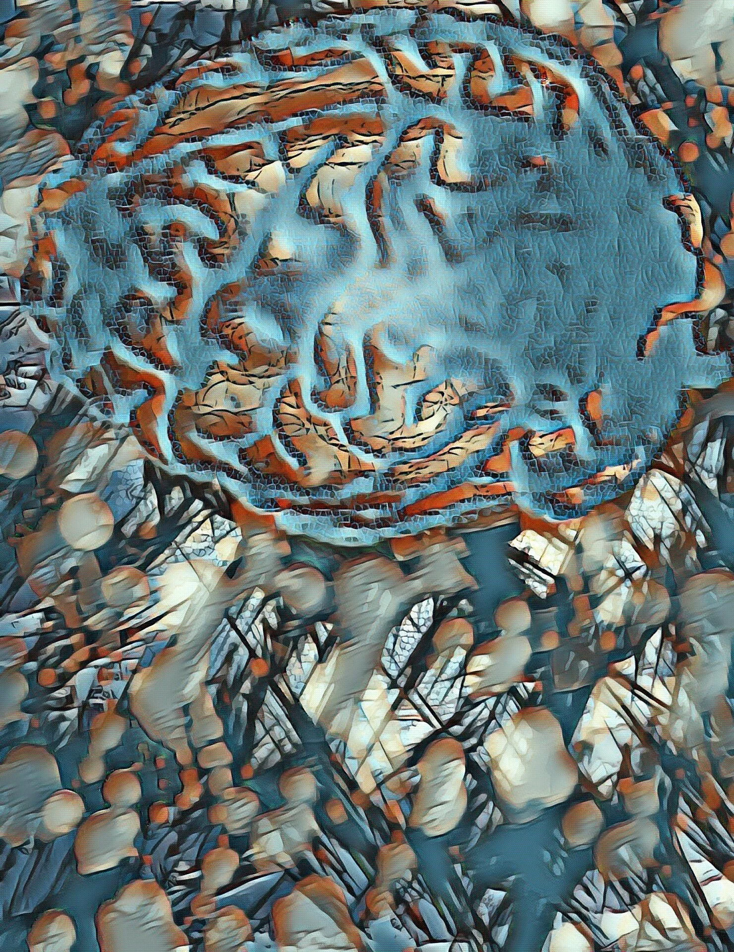 Synapse (14).jpg