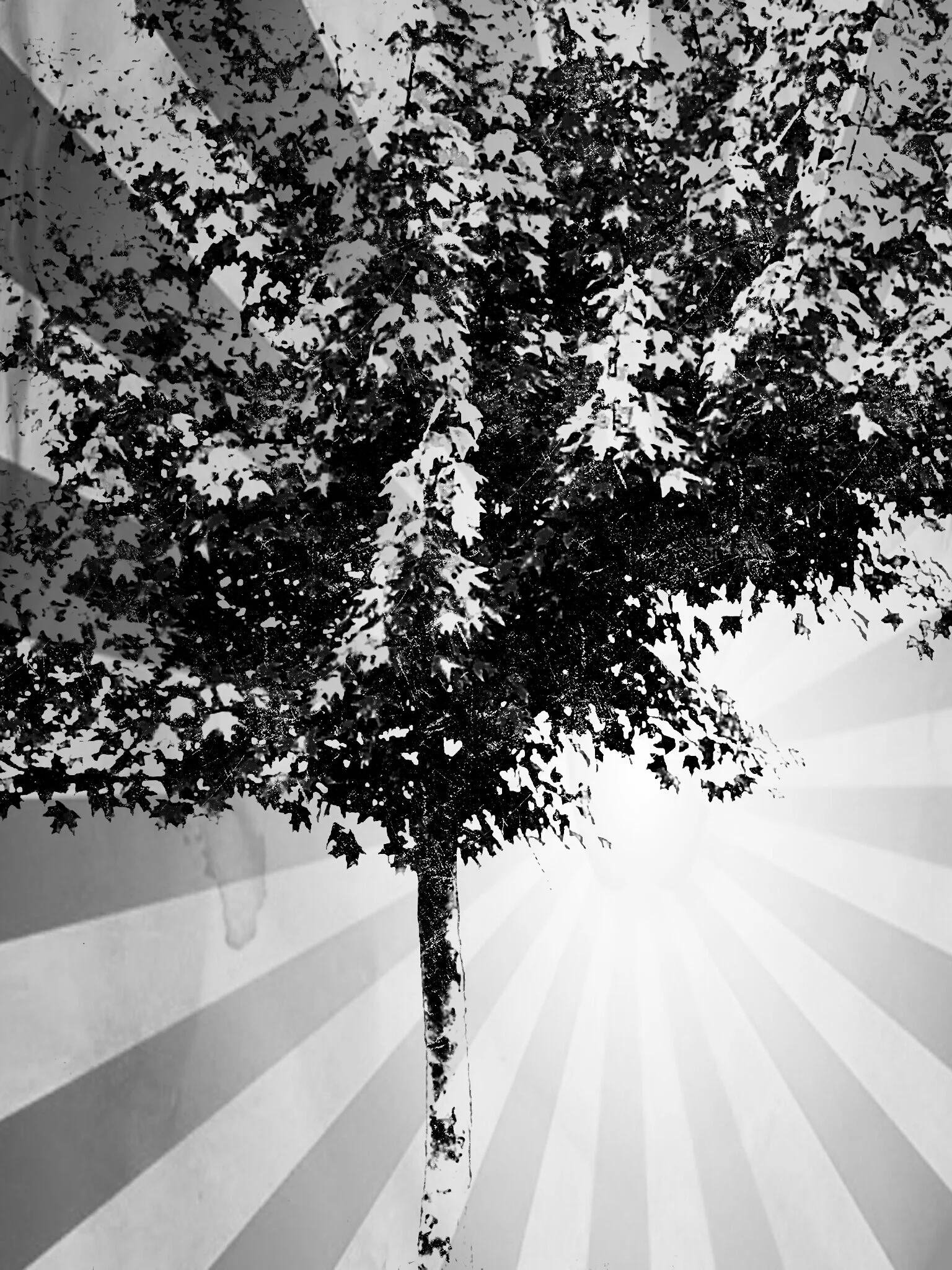 Tree [r] (13).jpg