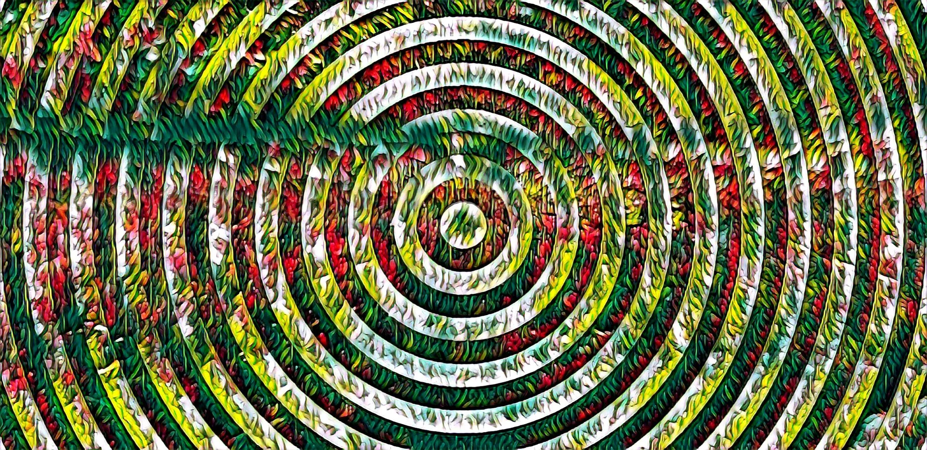 Bullseye (8).jpg