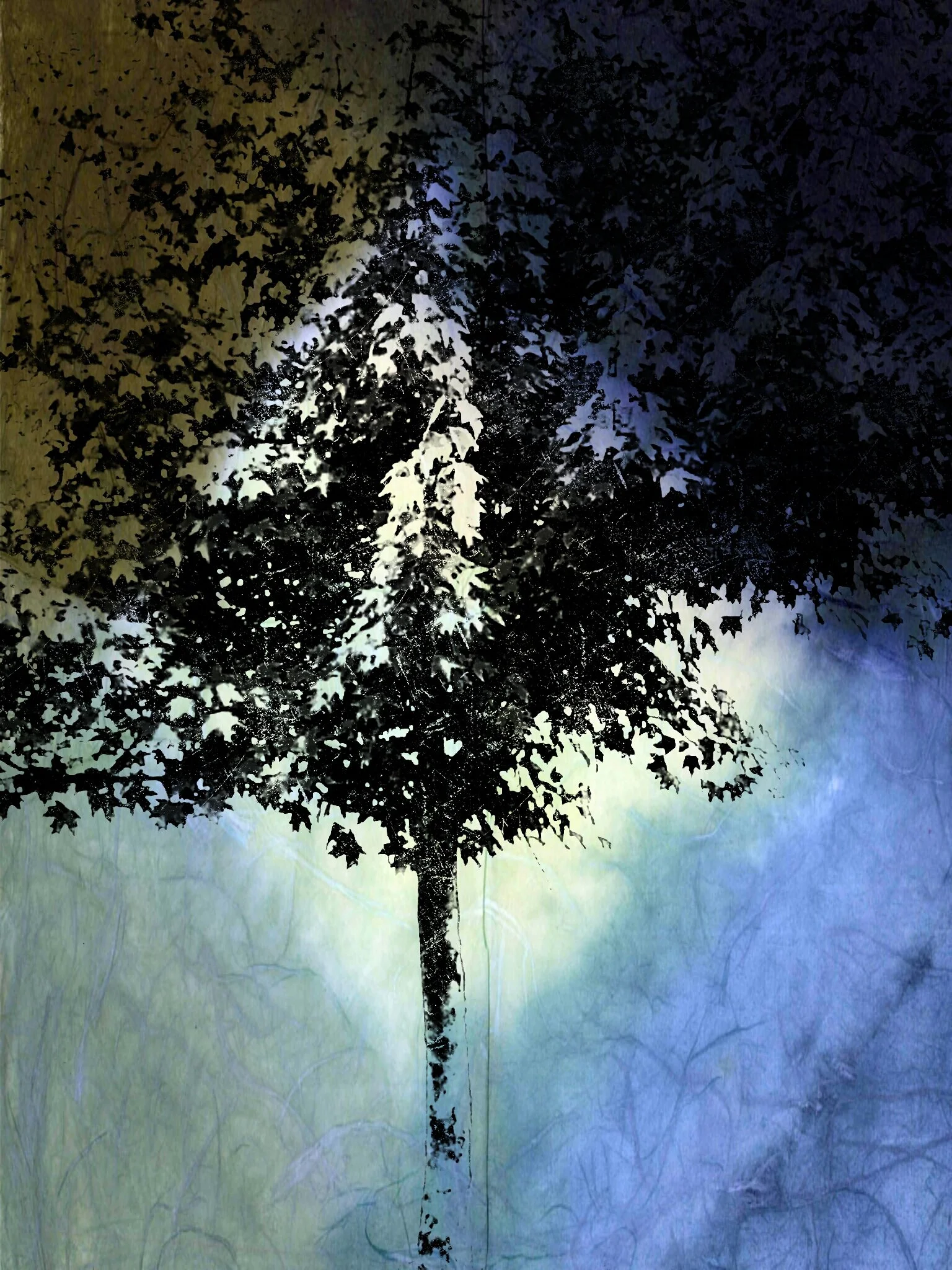 Tree [r] (9).jpg