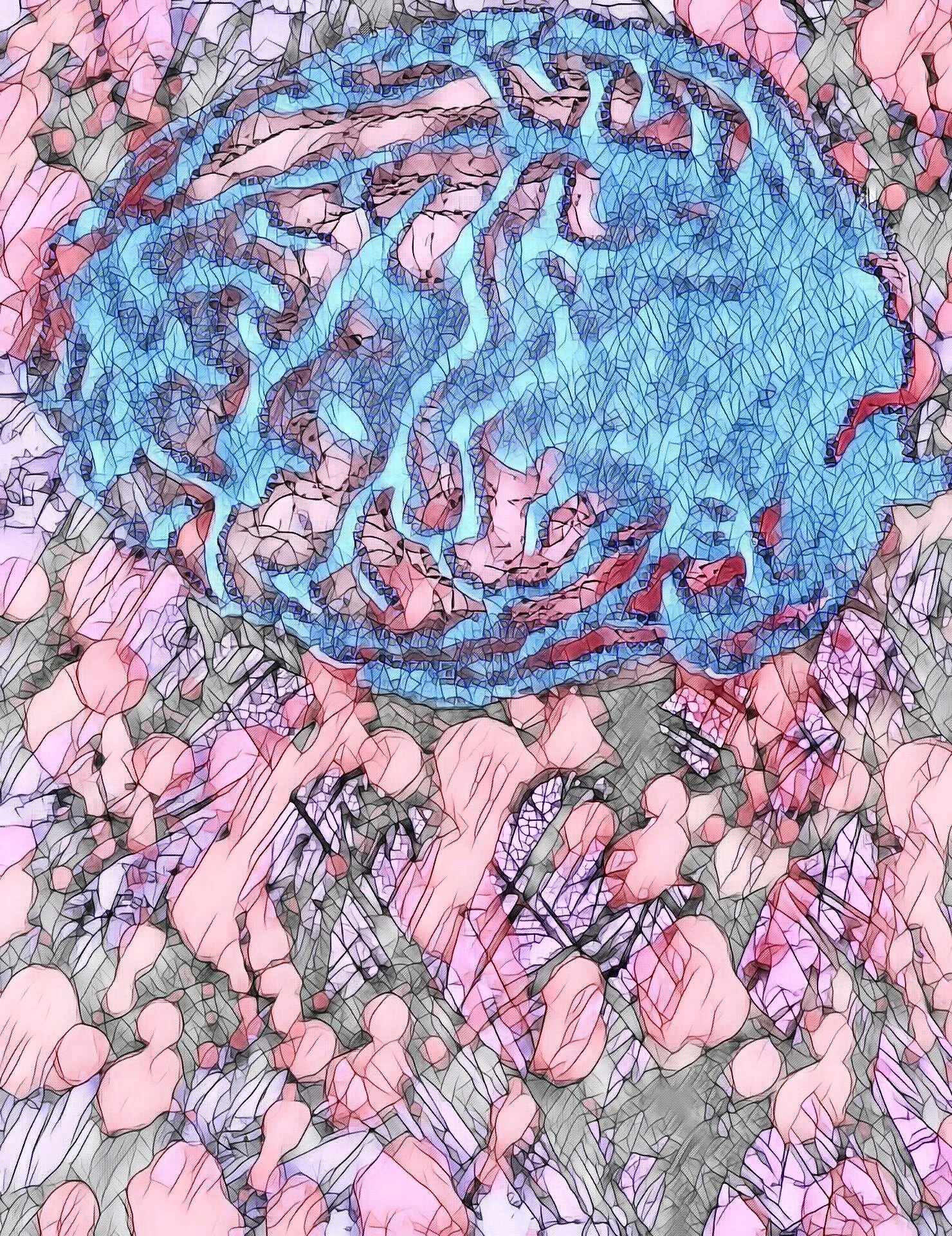 Synapse (2).jpg