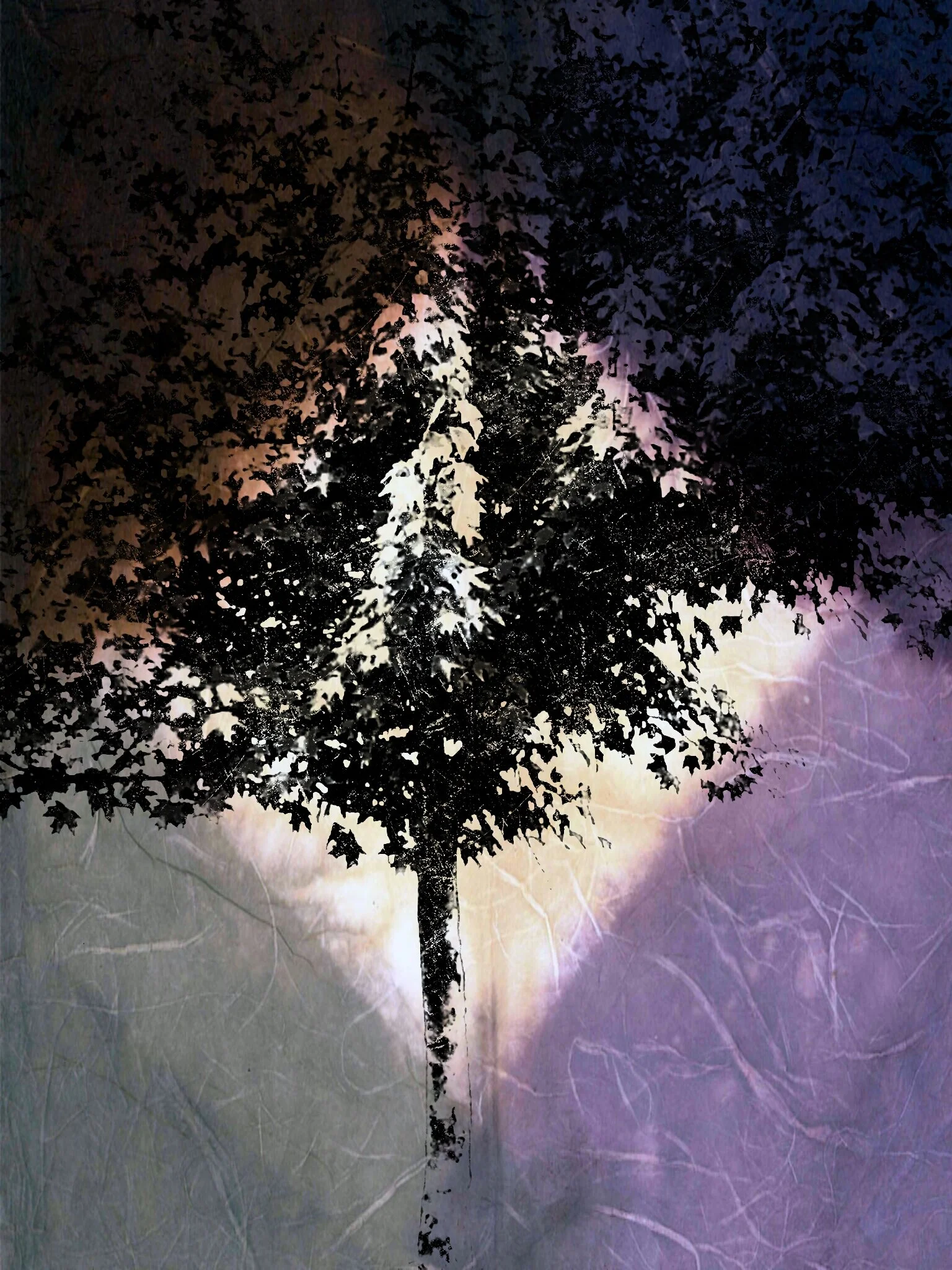 Tree [r] (12).jpg