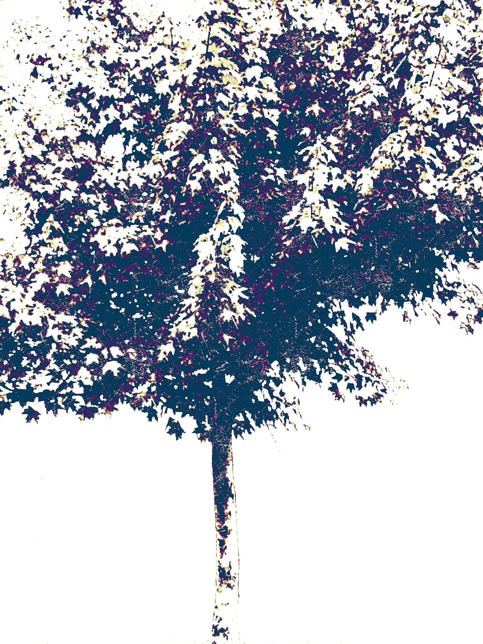 Tree [r] (15).jpg