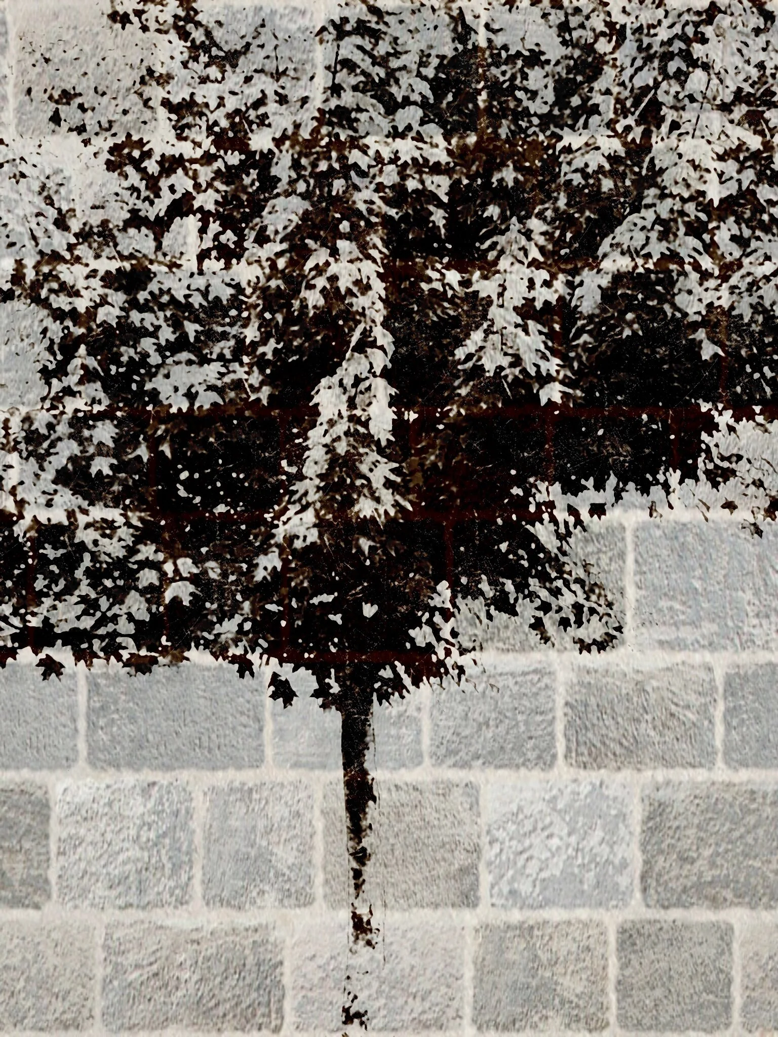 Tree [r] (57).jpg