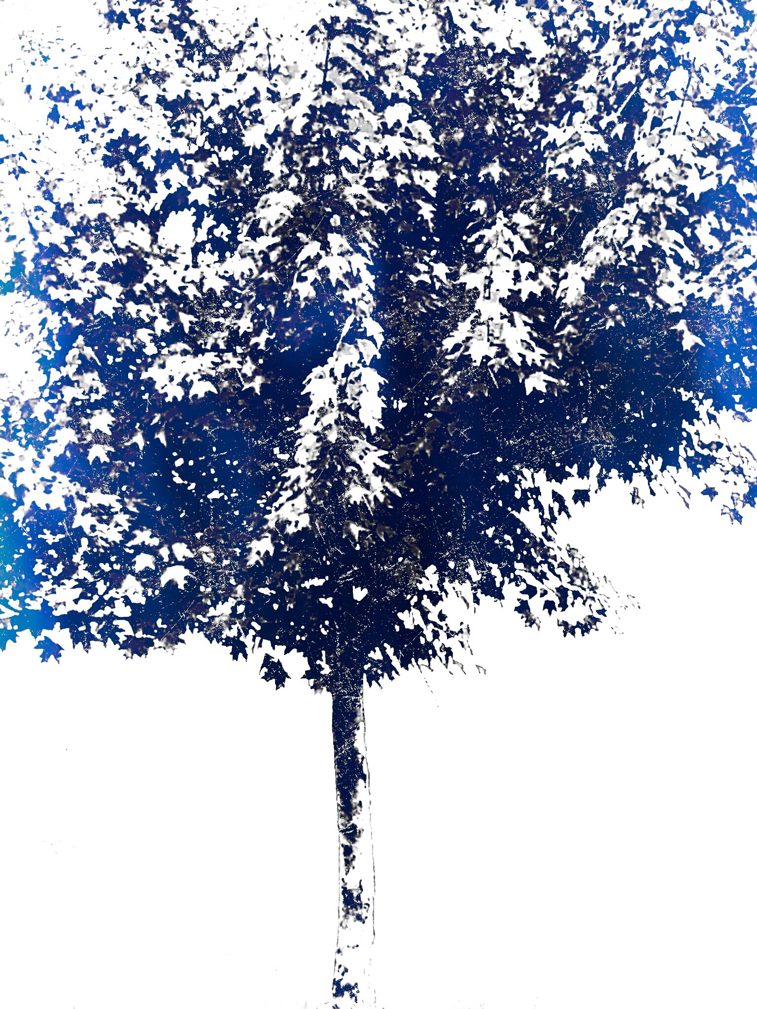 Tree [r] (30).jpg