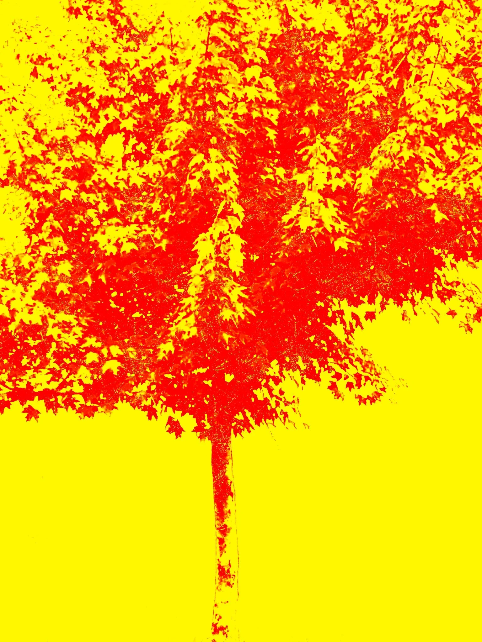 Tree [r] (33).jpg