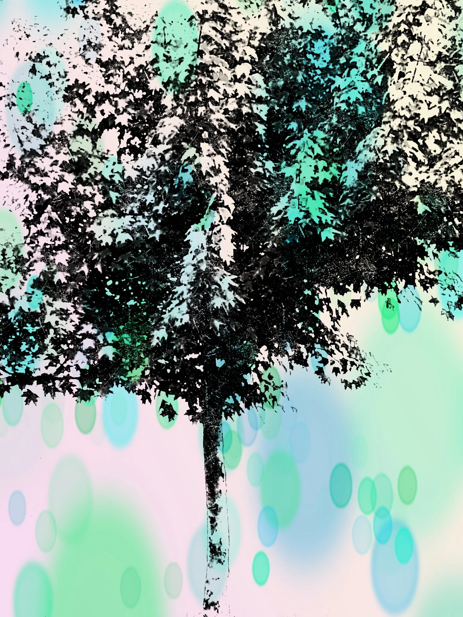 Tree [r] (4).jpg