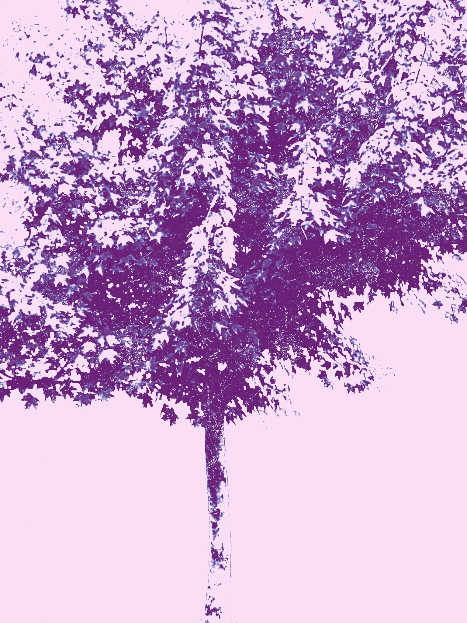 Tree [r] (25).jpg