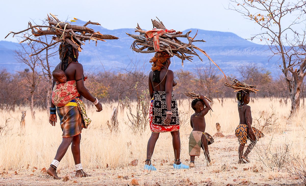 Muhakanonas gathering Fire Wood