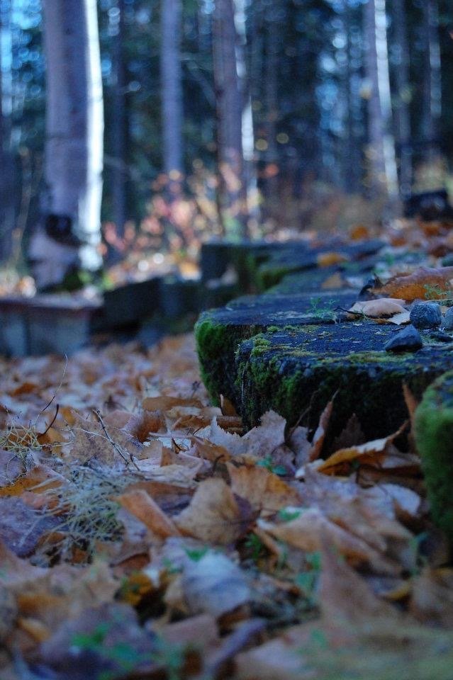 Fall Anxiety — Write22