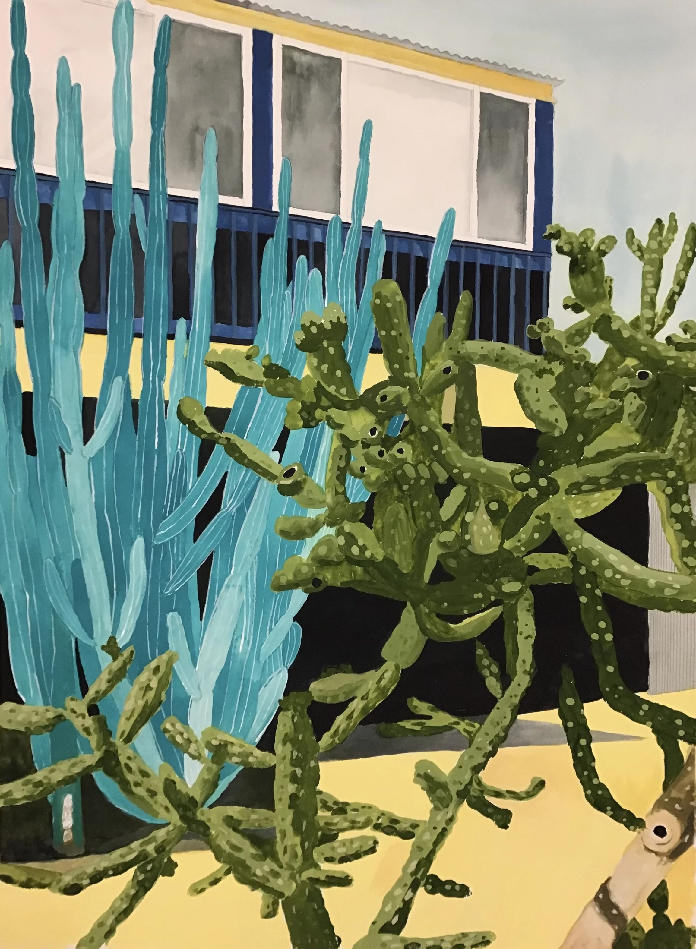 'Cactus House 2', 76 x 56 cm, watercolour and ink on paper. Sold.