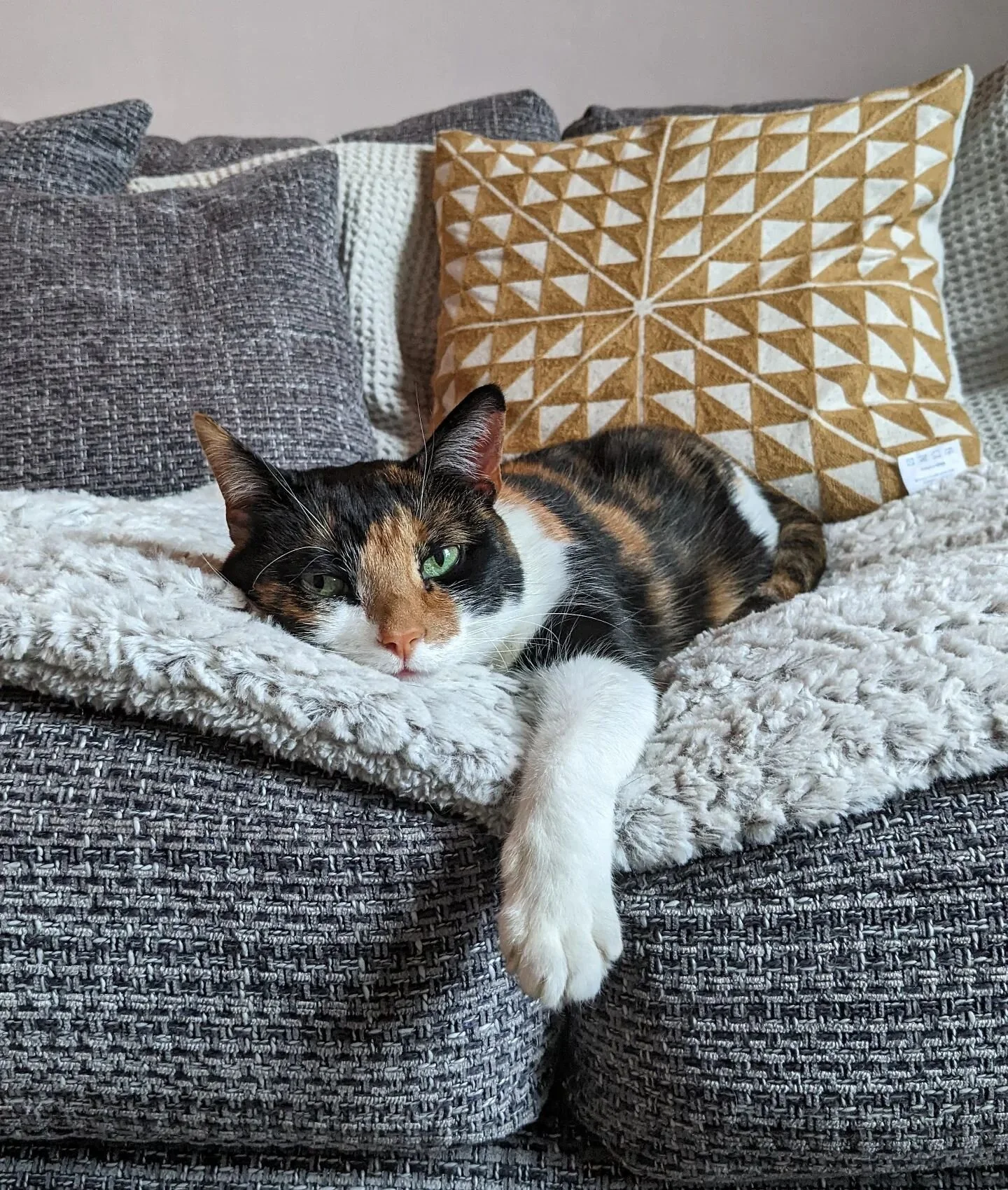 My week with covid has involved a lot of lying in bed and a lot of lying on the sofa. Here is a much nicer interpretation by Ginny.

I'm catching up on a few pieces at home this week and really looking forward to rearranged studio appointments coming