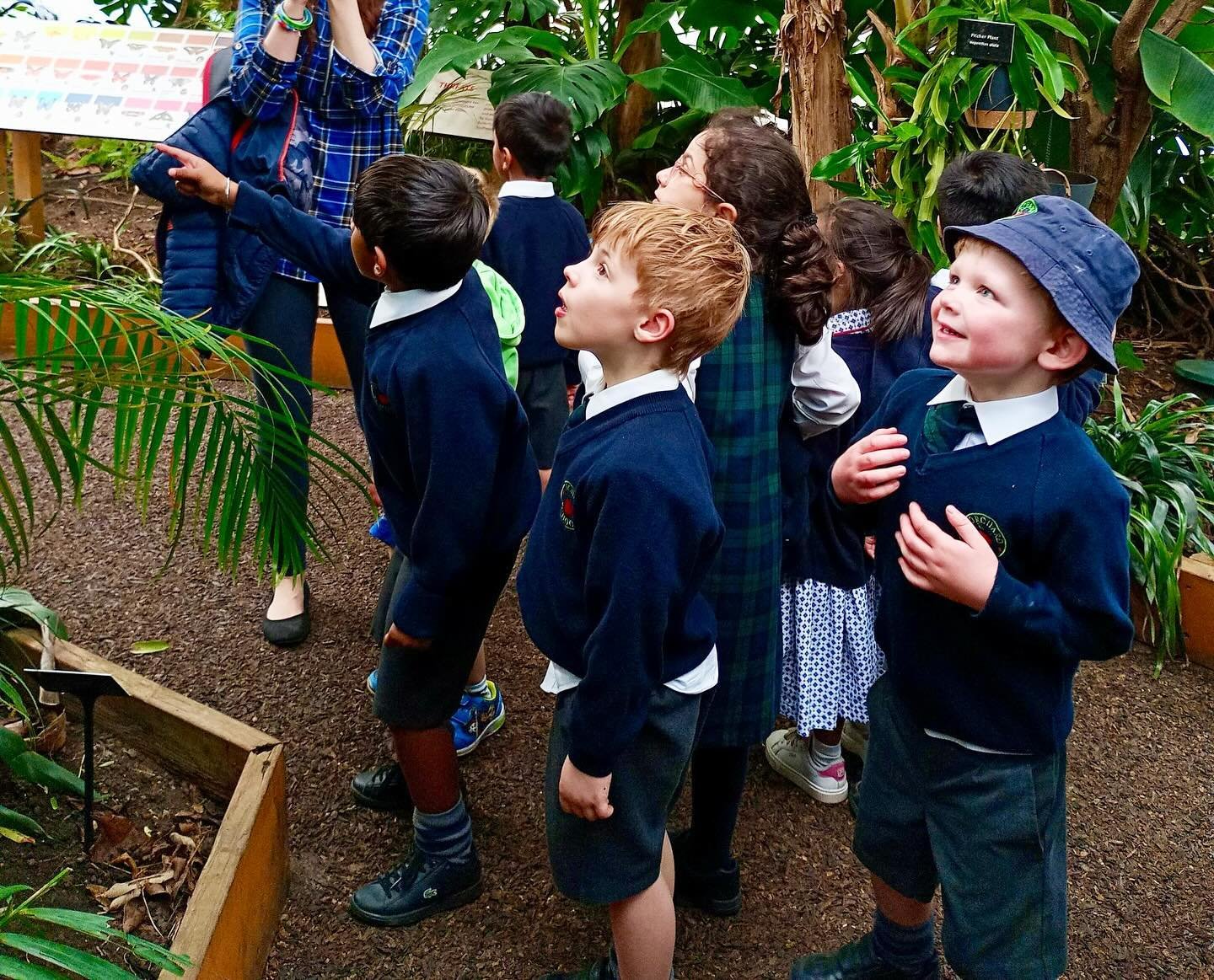Prep R had a fantastic trip to @zslwhipsnadezoo yesterday!🍎 
They got the chance to see a range of animals in preparation for their topic on Mini beasts next term!🦋🐌🐛

#orchardschoolandnursery #learningthroughplay #learningthroughnature #experien