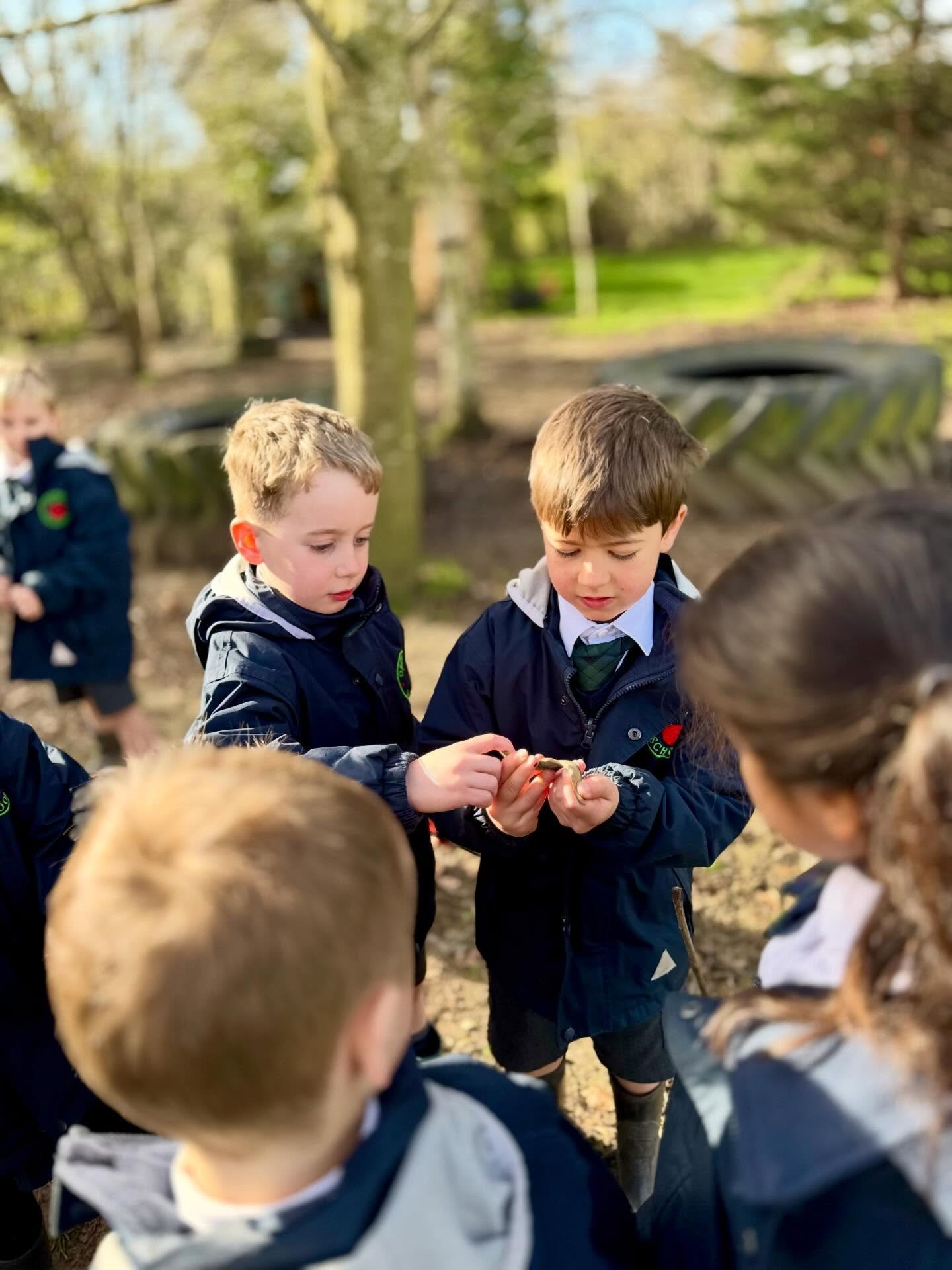Starting off Book Week with a mystery 📚🕳️
We discovered a mysterious hole in our school field inspired by The Something! 
Where could it have come from? Is there anyone down there? 
We went to investigate and let our imaginations lead the way🍎

#i