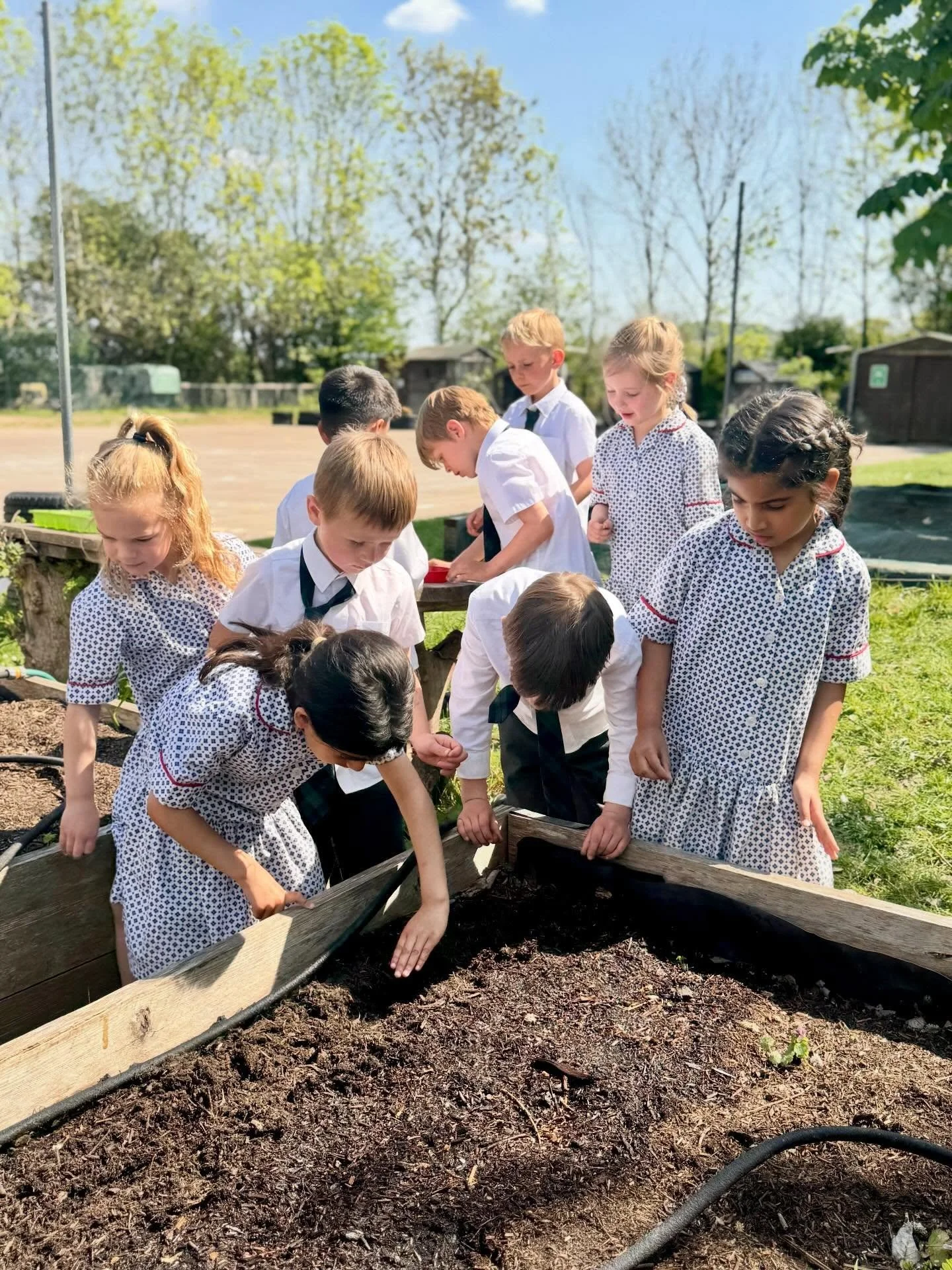 A great start to the week so far, with plenty of outdoor learning and opportunities to make the most of the sunshine in our school grounds☀️🍎

#primaryschools #localschools #bedfordshireschools #hertfordshireschools #lutonschools
