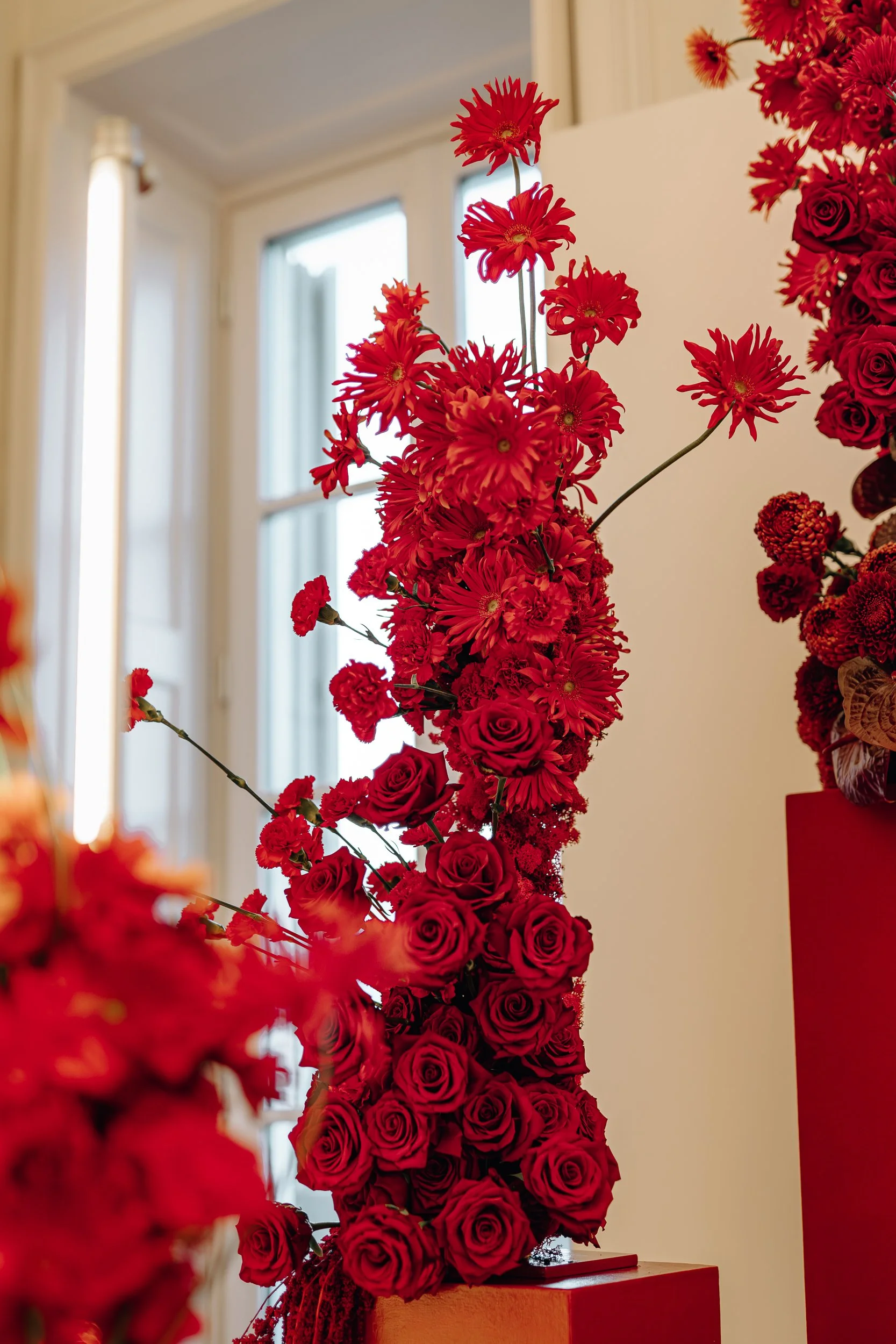Vase filled with tall, red flowers, likely roses, on a red surface in a well-lit room with large windows.