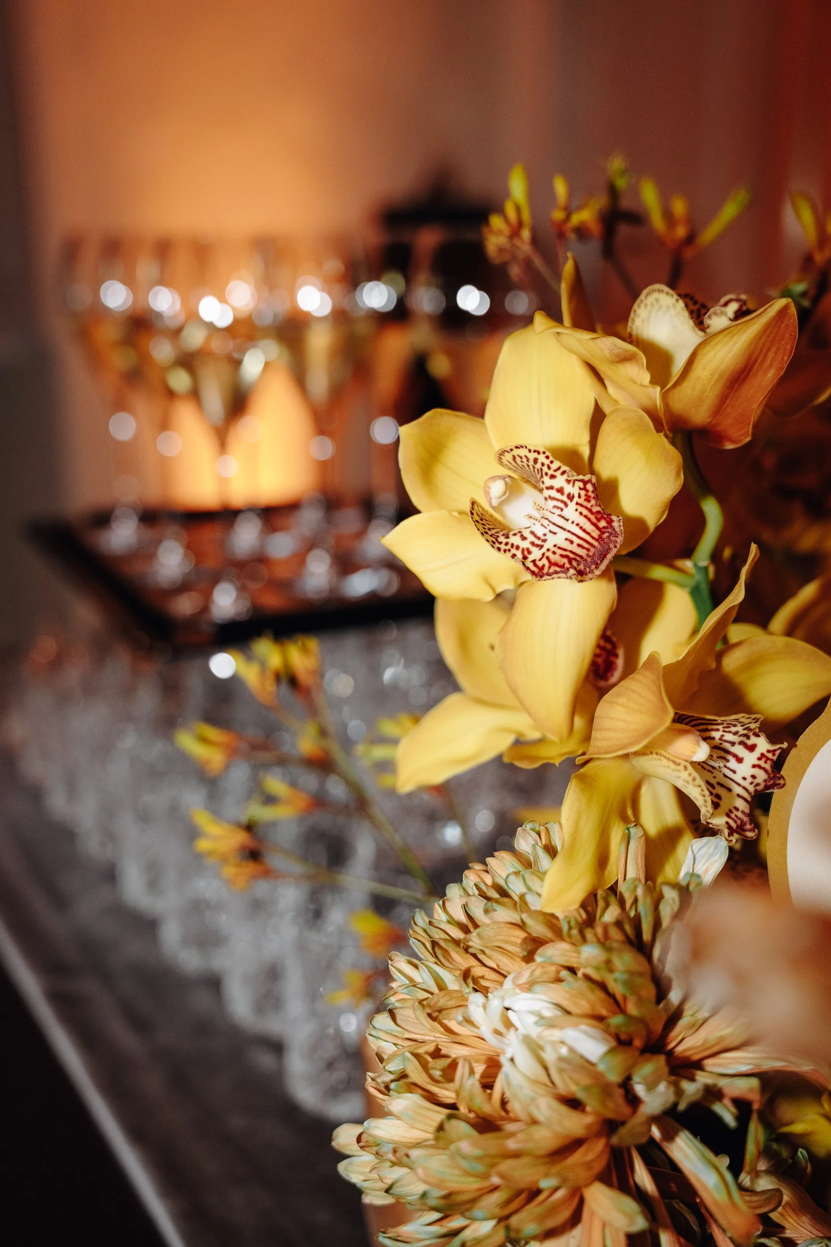 Close-up of yellow and brown orchids, with a blurred background containing bokeh lights.