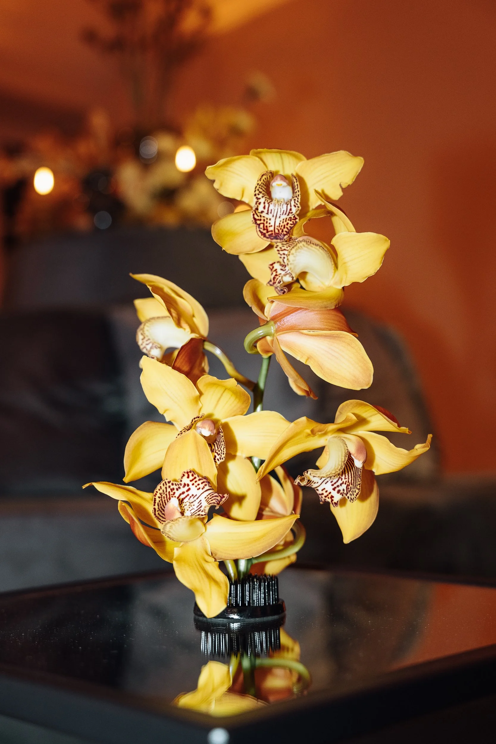 A yellow orchid flower with brown speckles and a white and purple lip, placed in a black vase on a reflective black surface. The background is warm in tone with blurred lights.