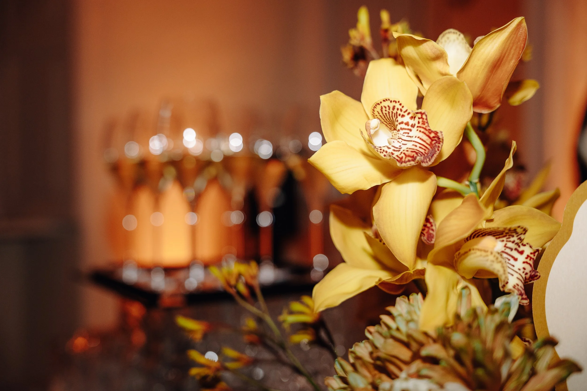 Close-up of a yellow orchid flower with distinctive red and white patterned lip, against a blurred background with warm lighting.