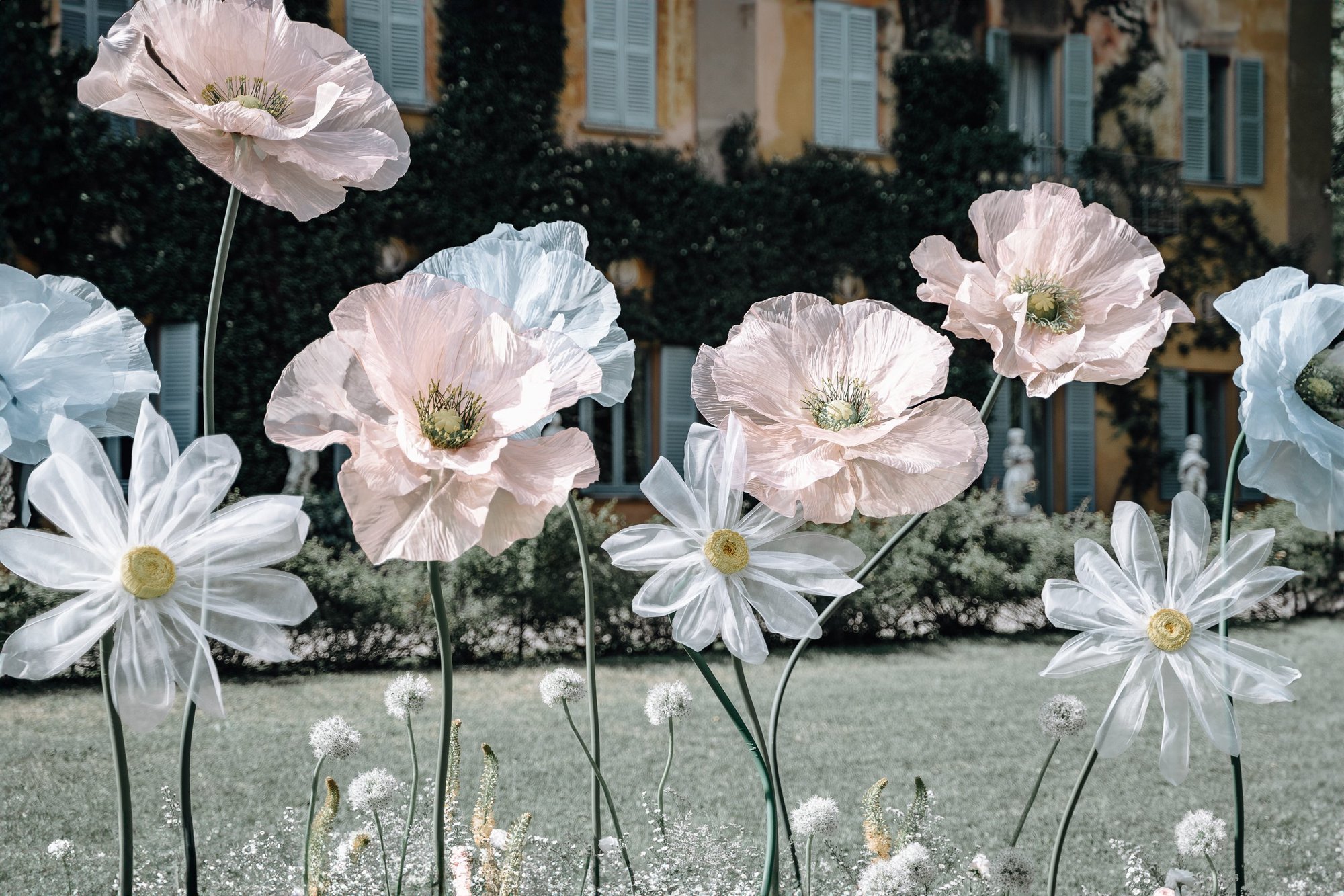 Artificial flowers resembling white and light pink poppies and daisies in a garden setting with a building featuring blue shutters in the background.