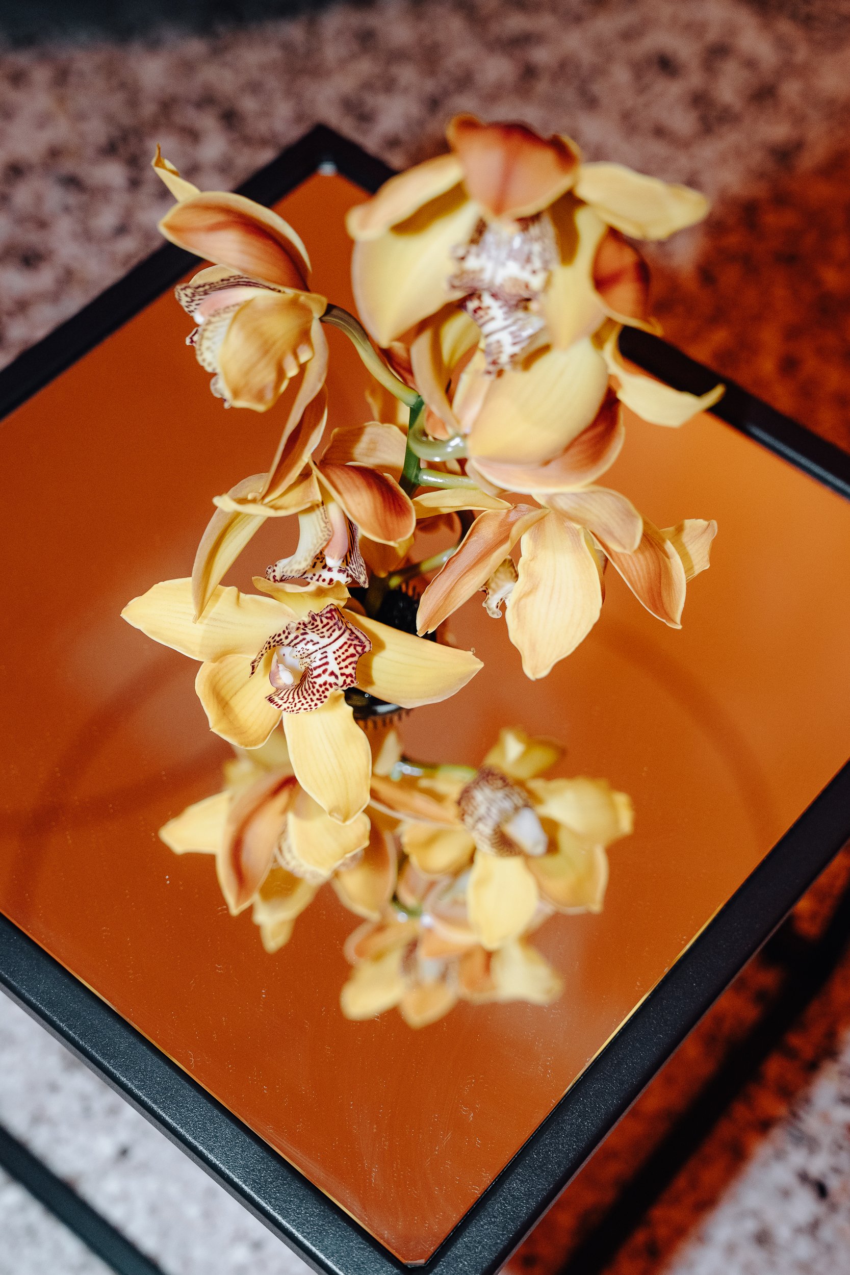 A yellow and orange orchid flower placed on a mirror table with a brown background.