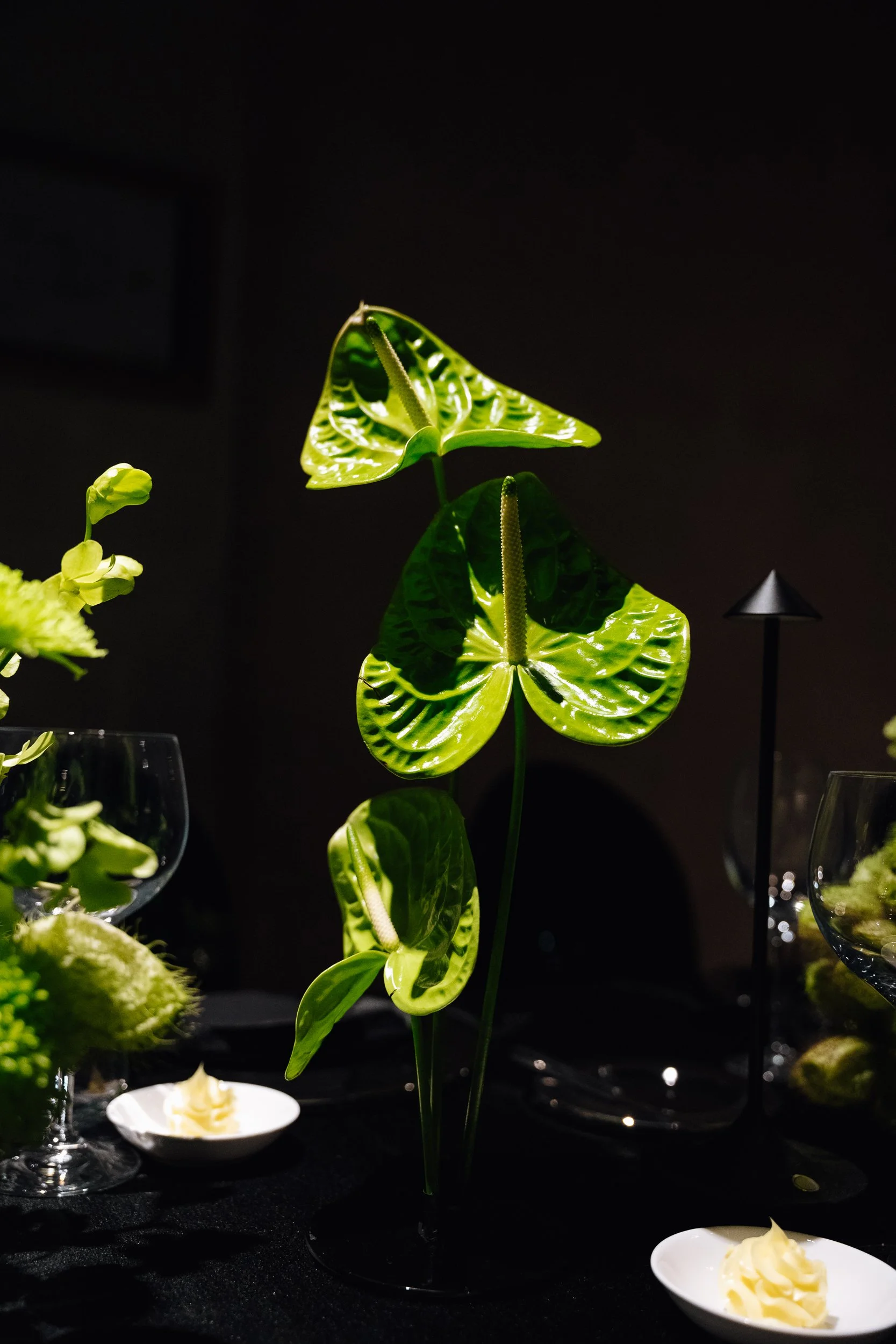 A potted plant with large, green, variegated leaves and tall, slender spathes, displayed on a dark surface with small dishes of whipped butter nearby, set against a dark background.