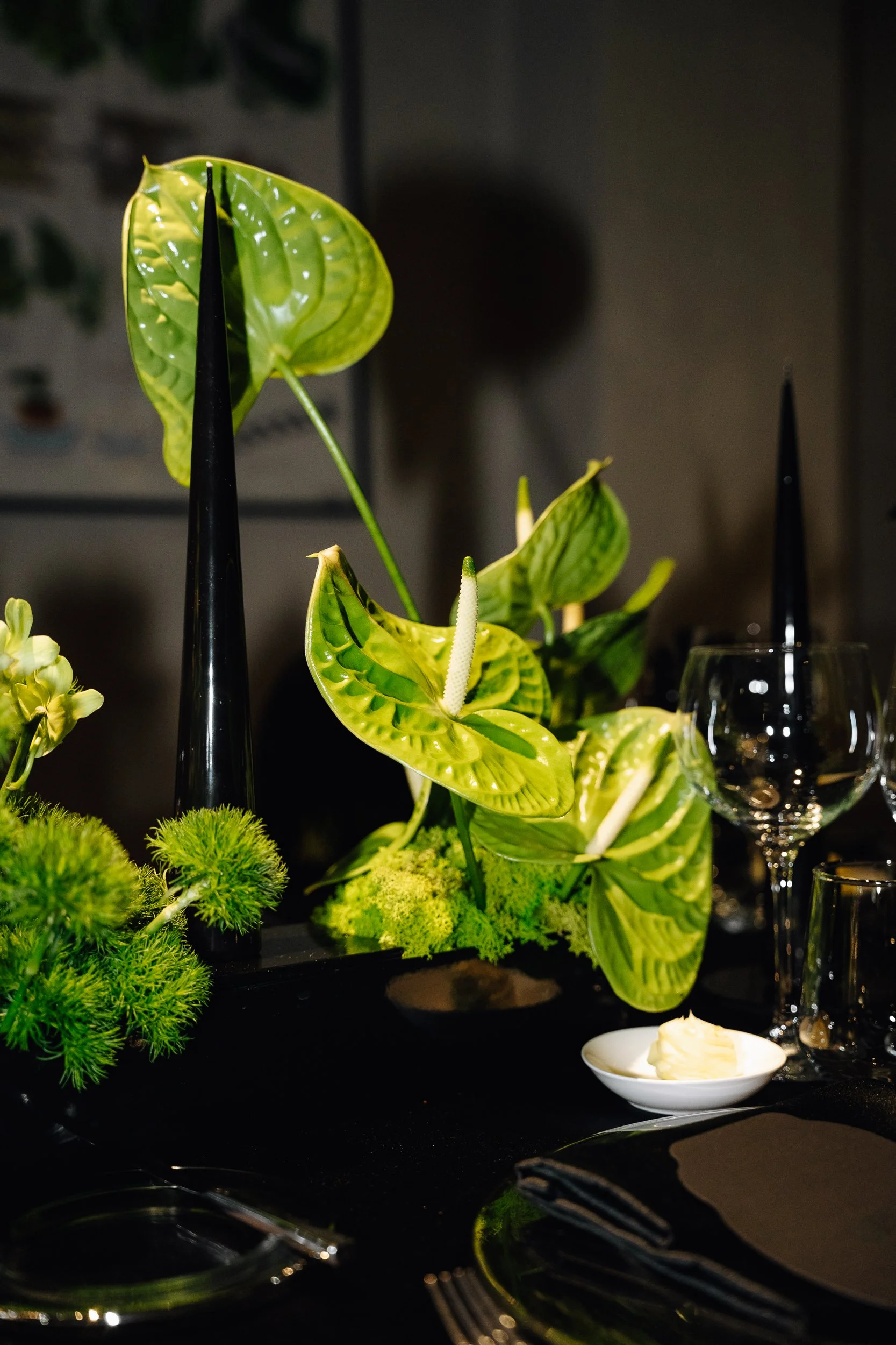 Arrangement of green houseplants including an anthurium with patterned leaves, placed on a black surface with glassware and a small dish of butter.