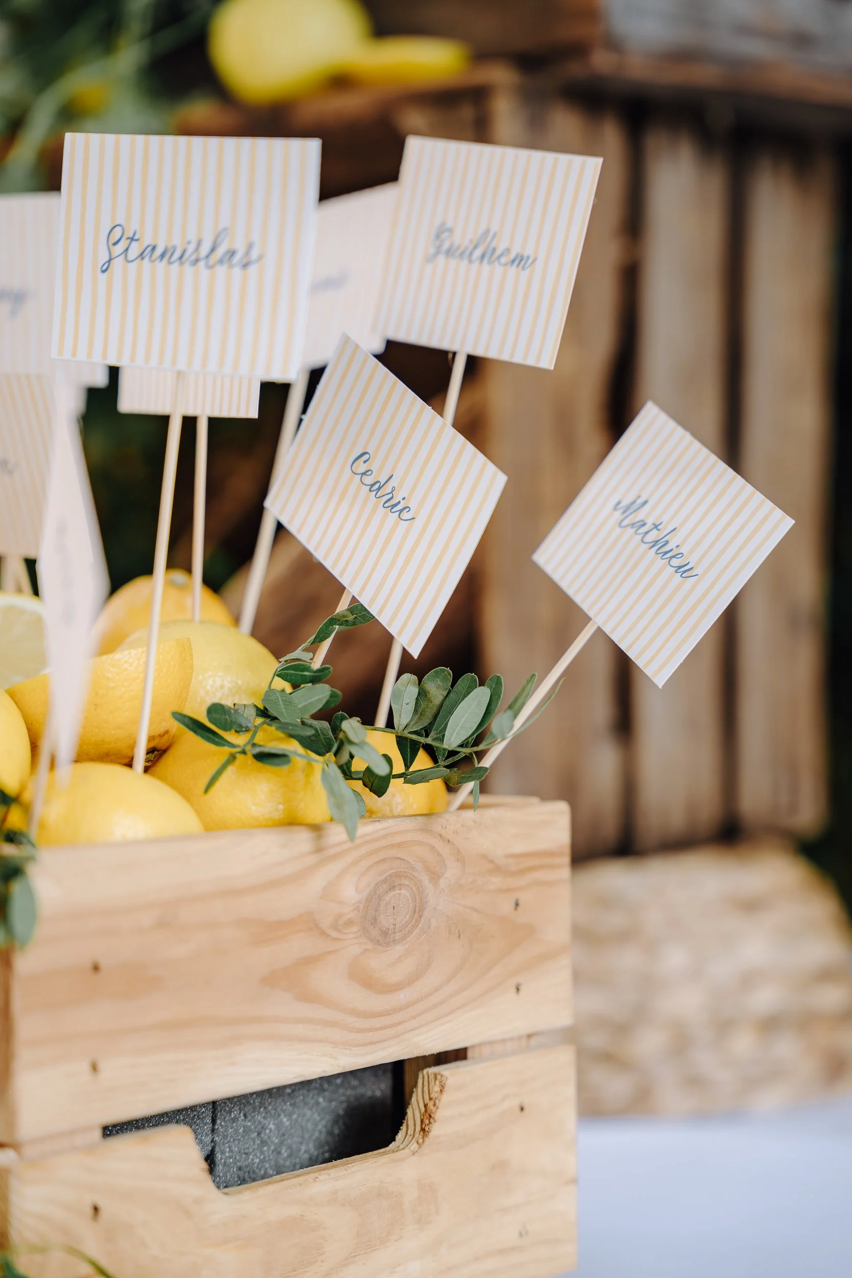 Close-up of small paper flags with handwritten names, such as Stanislaw, Gudhem, Cedric, and Matthew, inserted into a box of yellow lemons with green leaves, set against a rustic wooden background.