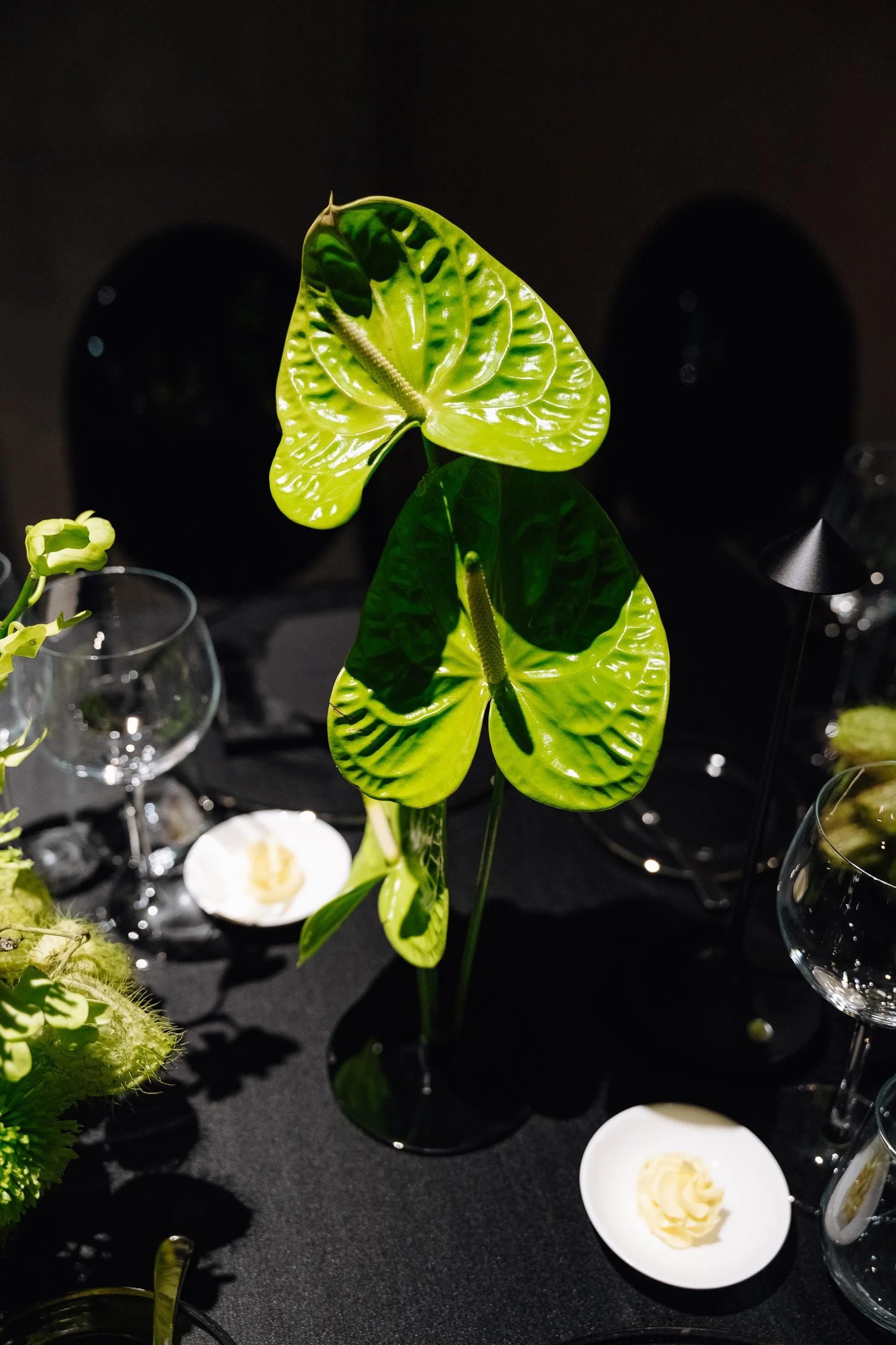 A potted green anthurium plant with shiny, dark green leaves and a yellow-green spathe. The background is dark with a black wall and a few reflections, and there are various glassware and small dishes on a black table.