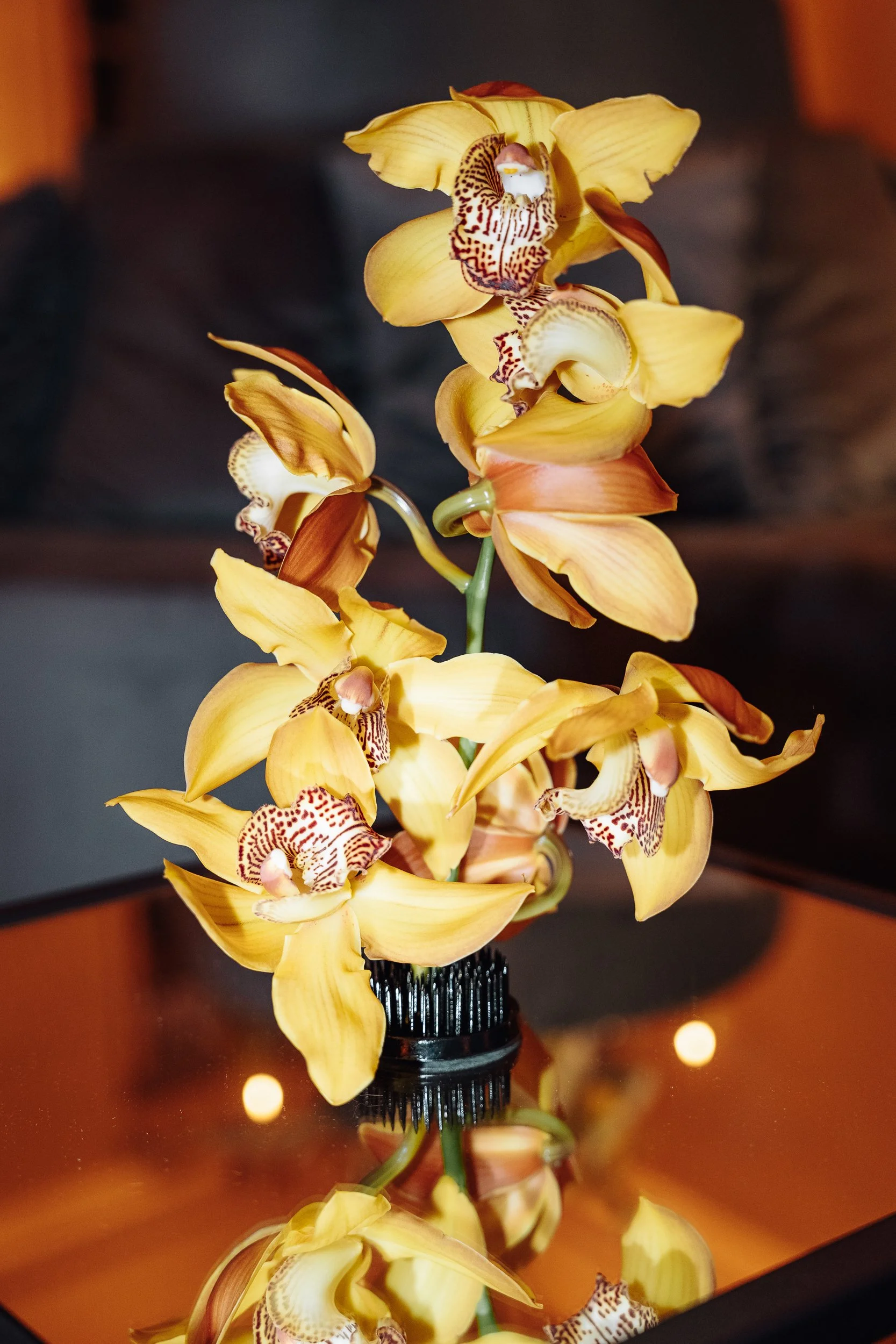A tall, yellow orchid with maroon and white patterned centers sits in a black vase on a reflective surface. The background features warm tones and soft, out-of-focus lighting.