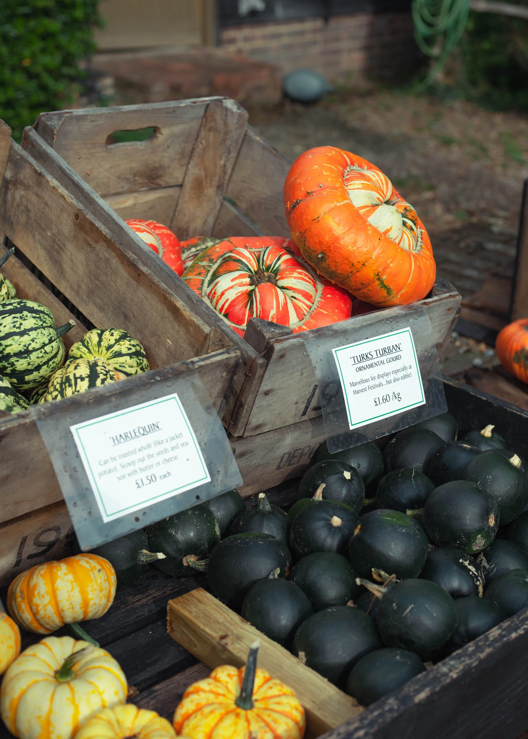 Things to do Sevenoaks, Kent