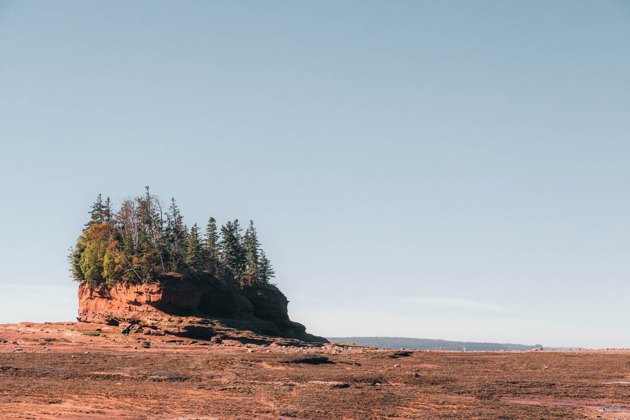 High tides, high adrenaline: the Bay of Fundy