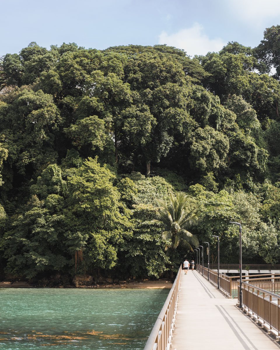 Free outdoor things to do in singapore