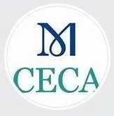 Call for ICOM Committee for Education and Cultural Action (CECA) National Correspondent Ireland