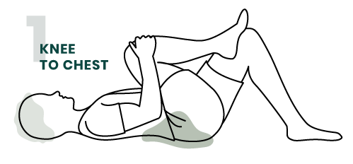 Stretches & Exercises for Lower Back Pain and Sciatica