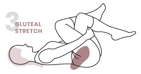 Stretches & Exercises for Lower Back Pain and Sciatica, Rocky Coast  Integrated Medicine, Portland, Maine
