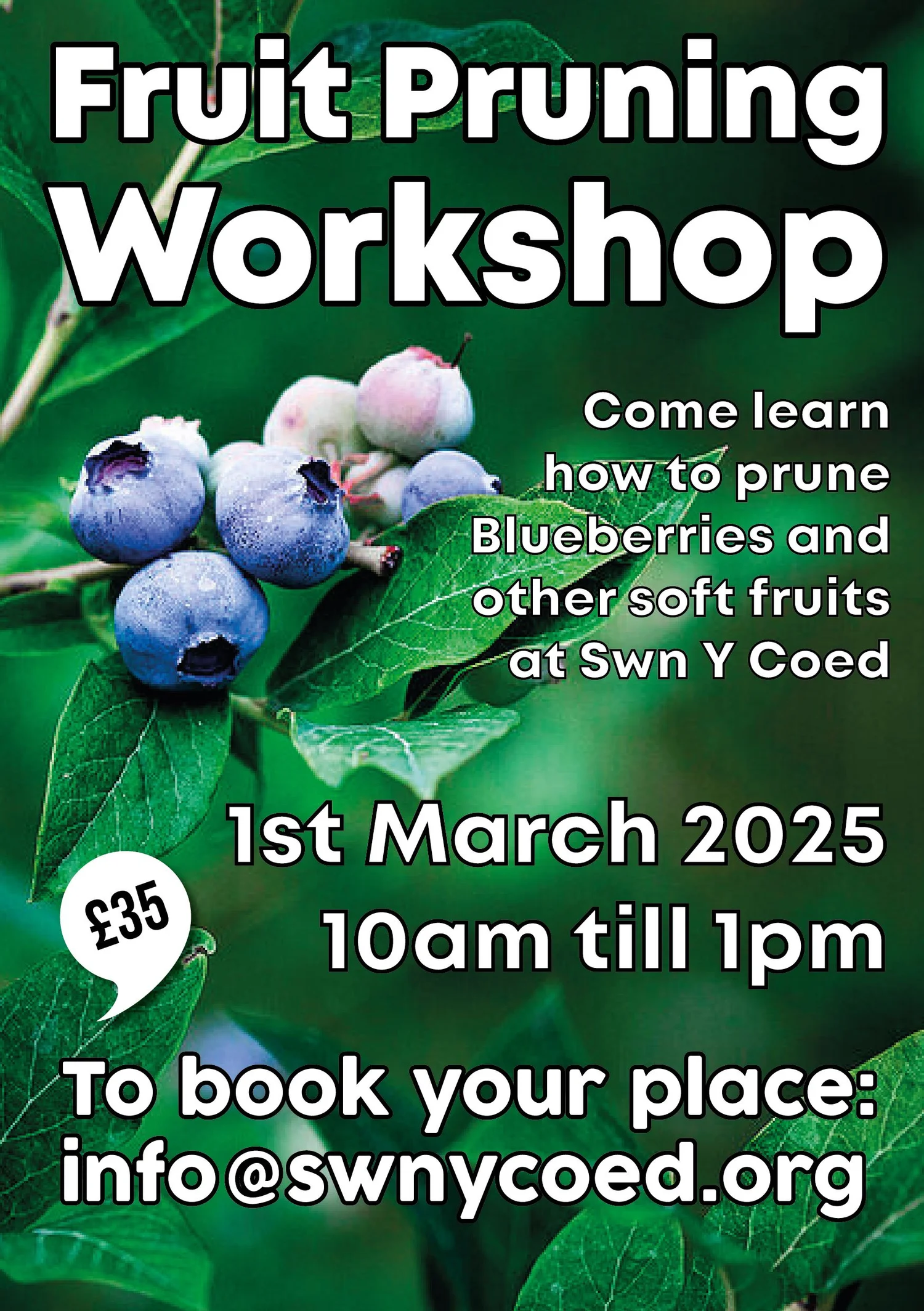 Fruit Pruning Workshop — Swn Y Coed