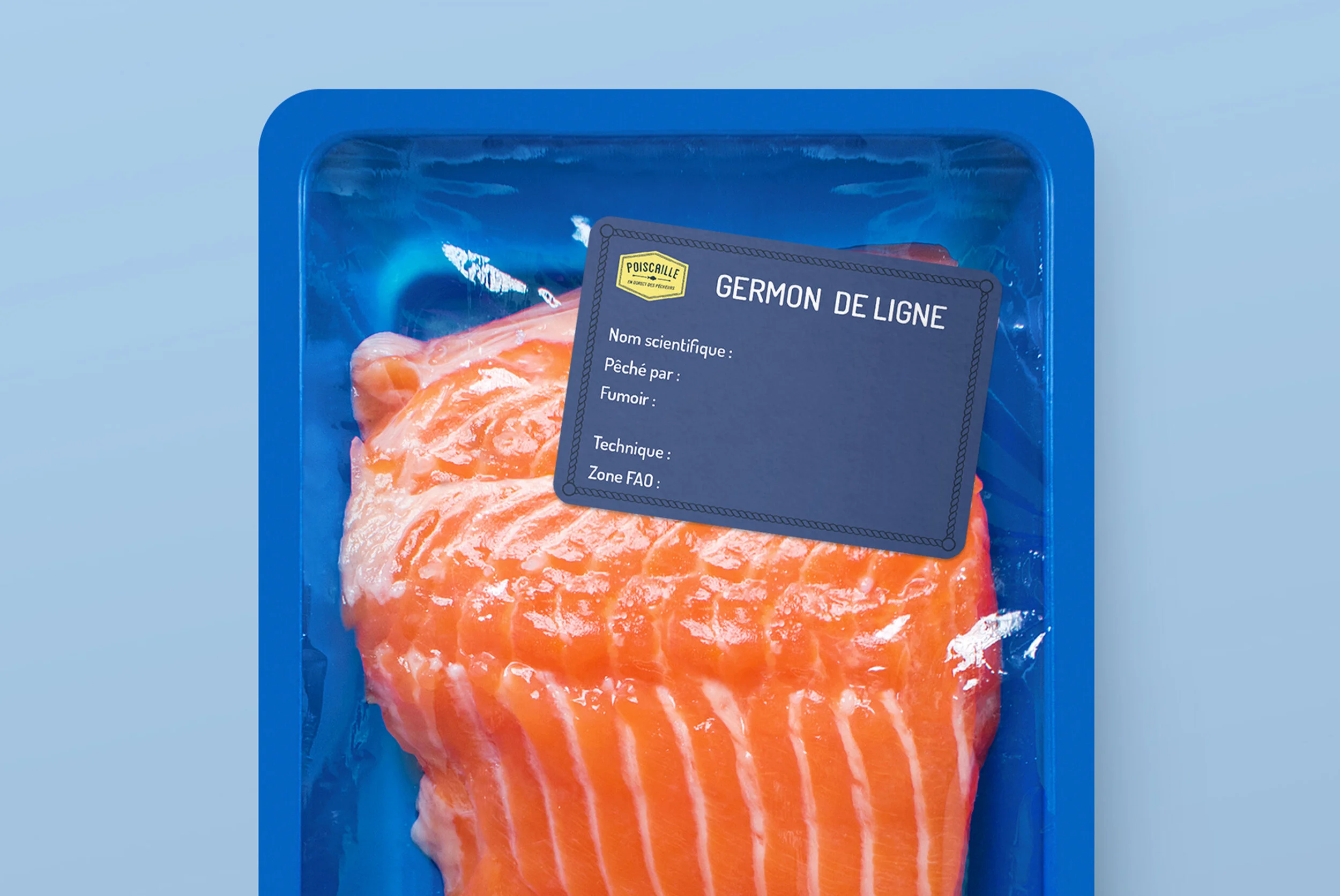 fish1.jpg