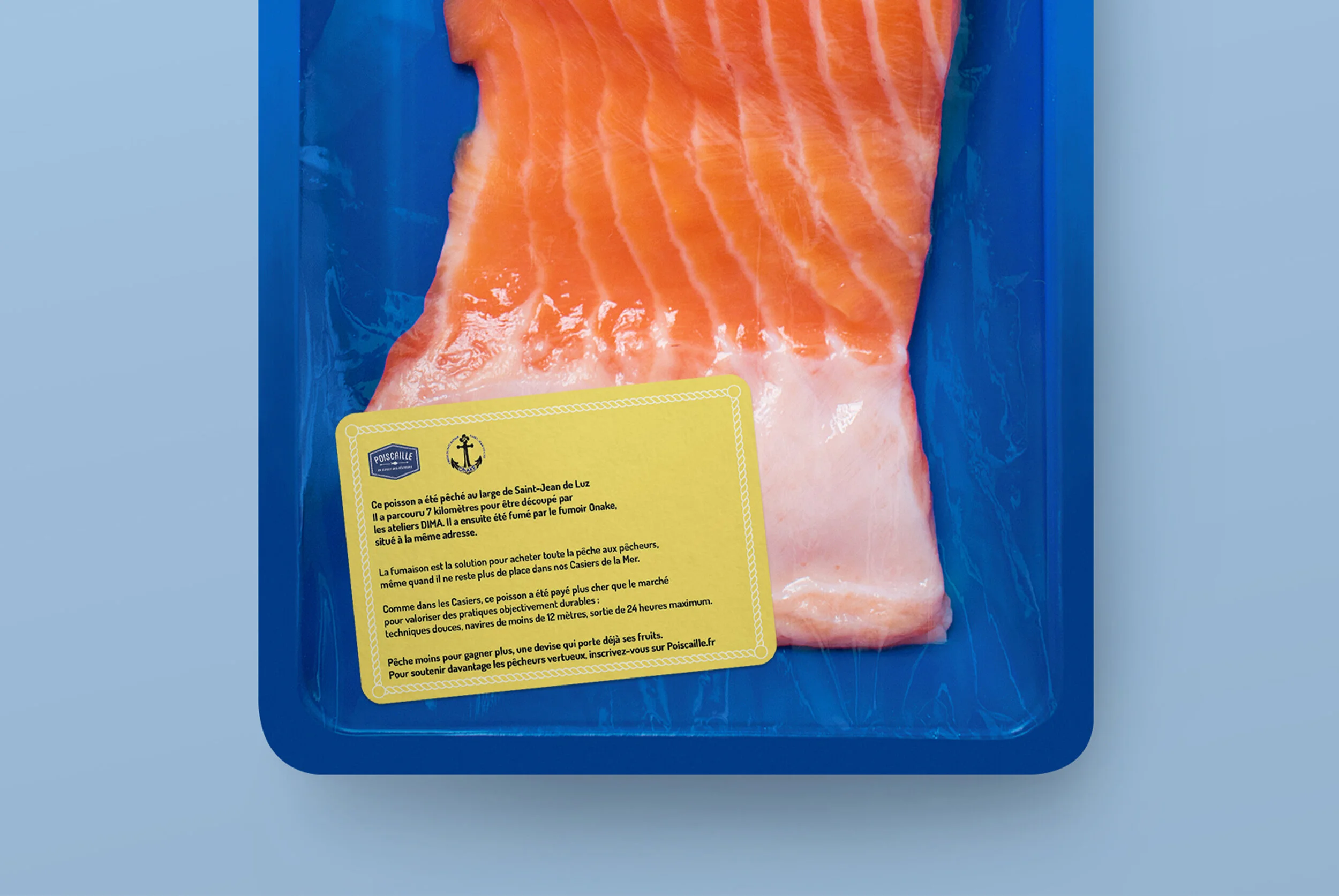 fish2.jpg