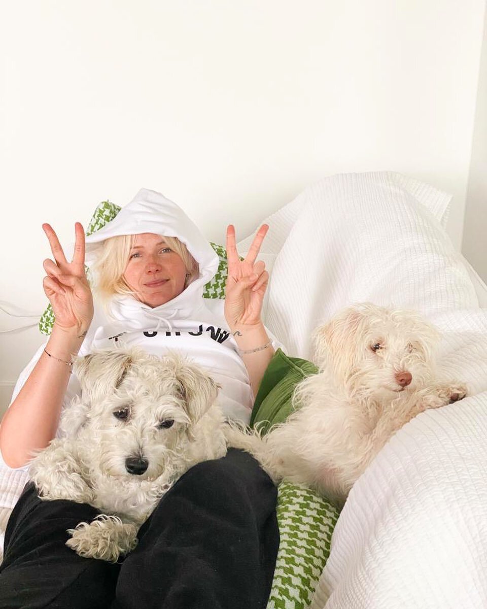 The most healing meditative snooze I have had in a very long time.... recharged with pooch power🐾🐾⁣
⁣
⁣
#healing #snooze #recovery #recoup #revive #animals #vibe #recharge #yourvibe #thegirls #goodvibesonly #blessed #goss #poochpower #spiritualgang