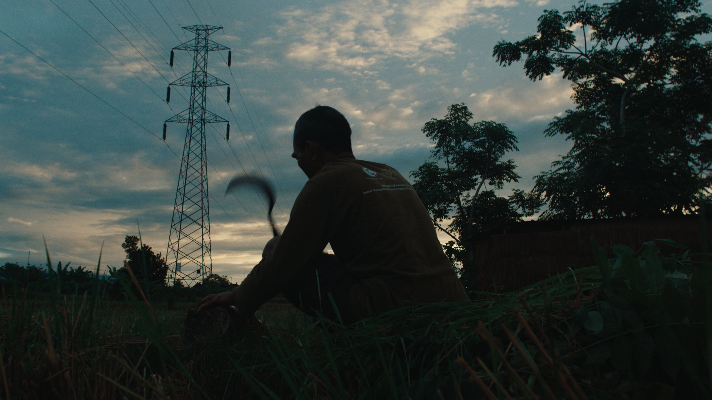 A person sitting on the ground during sunset, working with plants or crops, with a tall electric transmission tower and trees in the background.