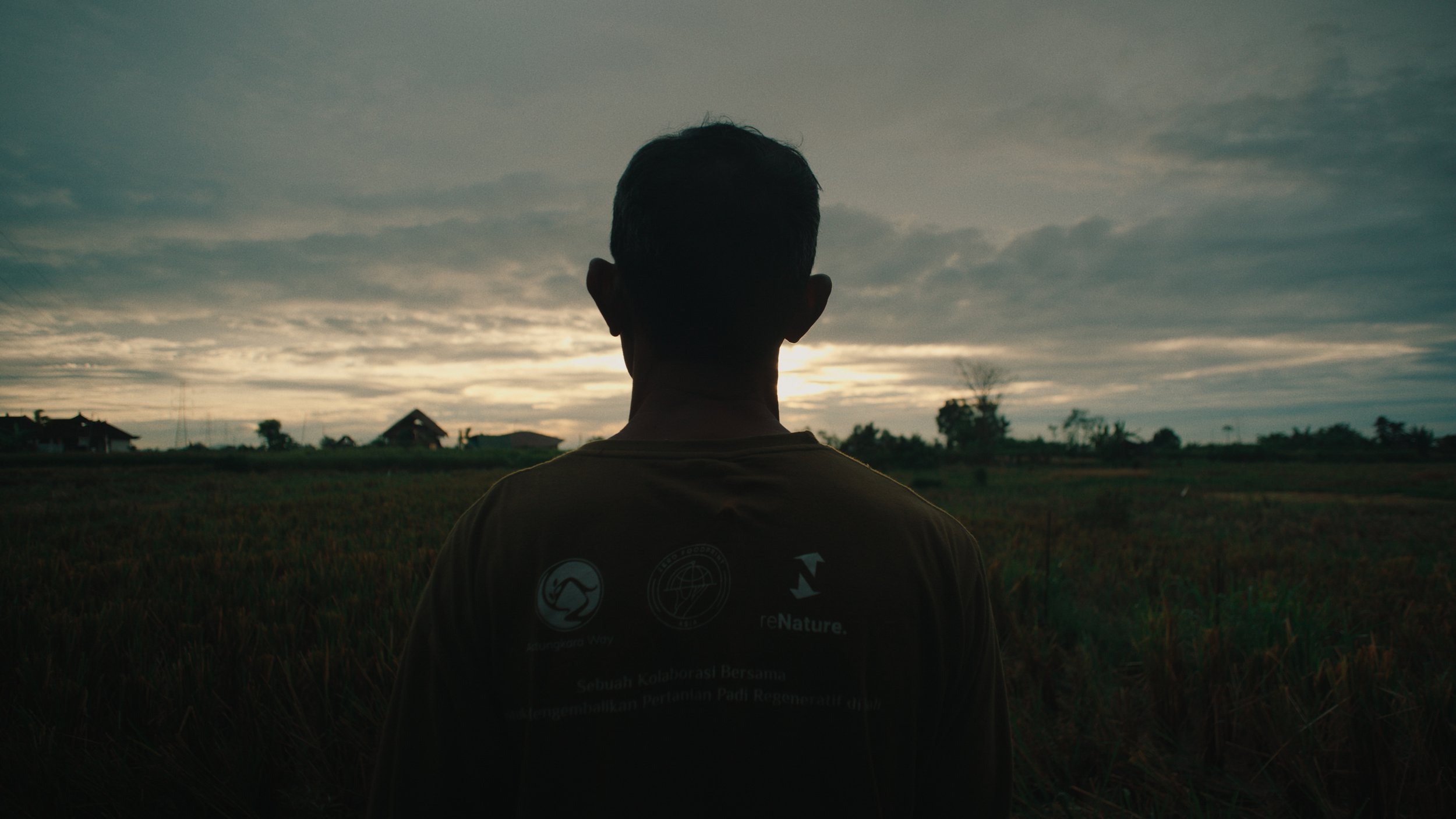 A man stands in a field at sunset, facing away from the camera, with trees and small buildings in the distance under a cloudy sky.