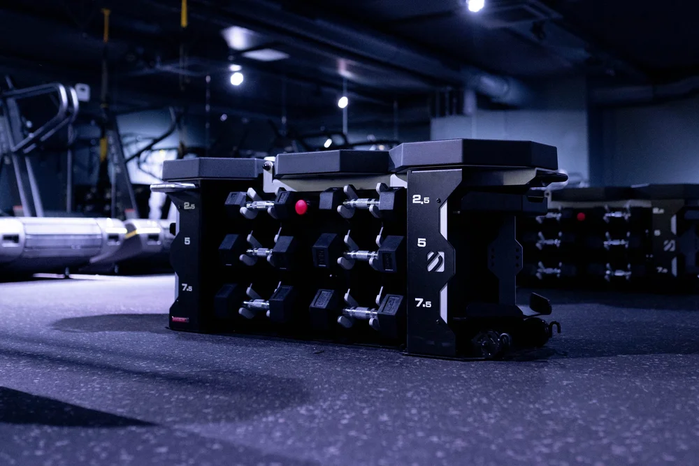 The Studio Animo Studios