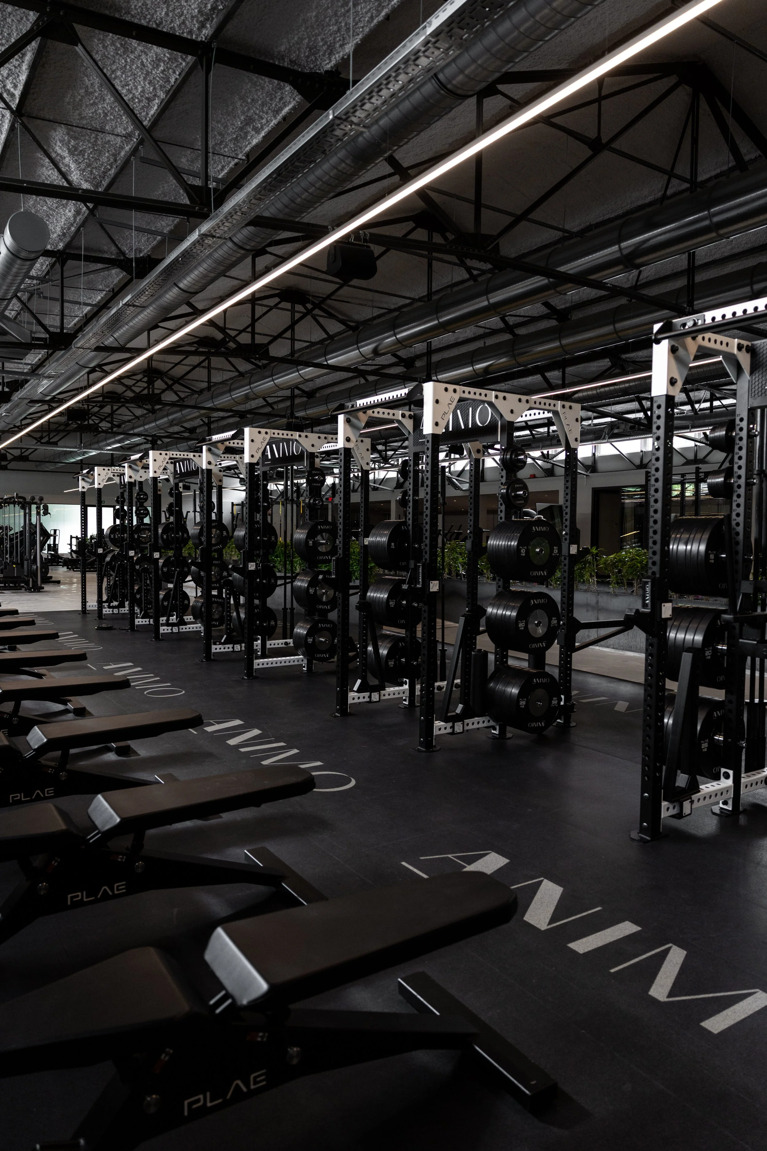 Powerlifting Workshops at SWPC™