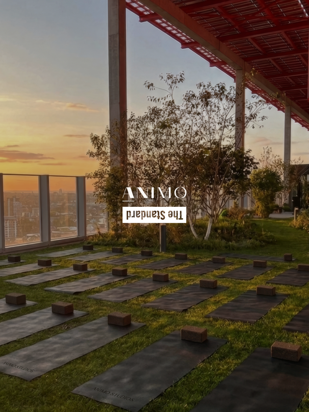 Animo x The Standard Rooftop Sessions